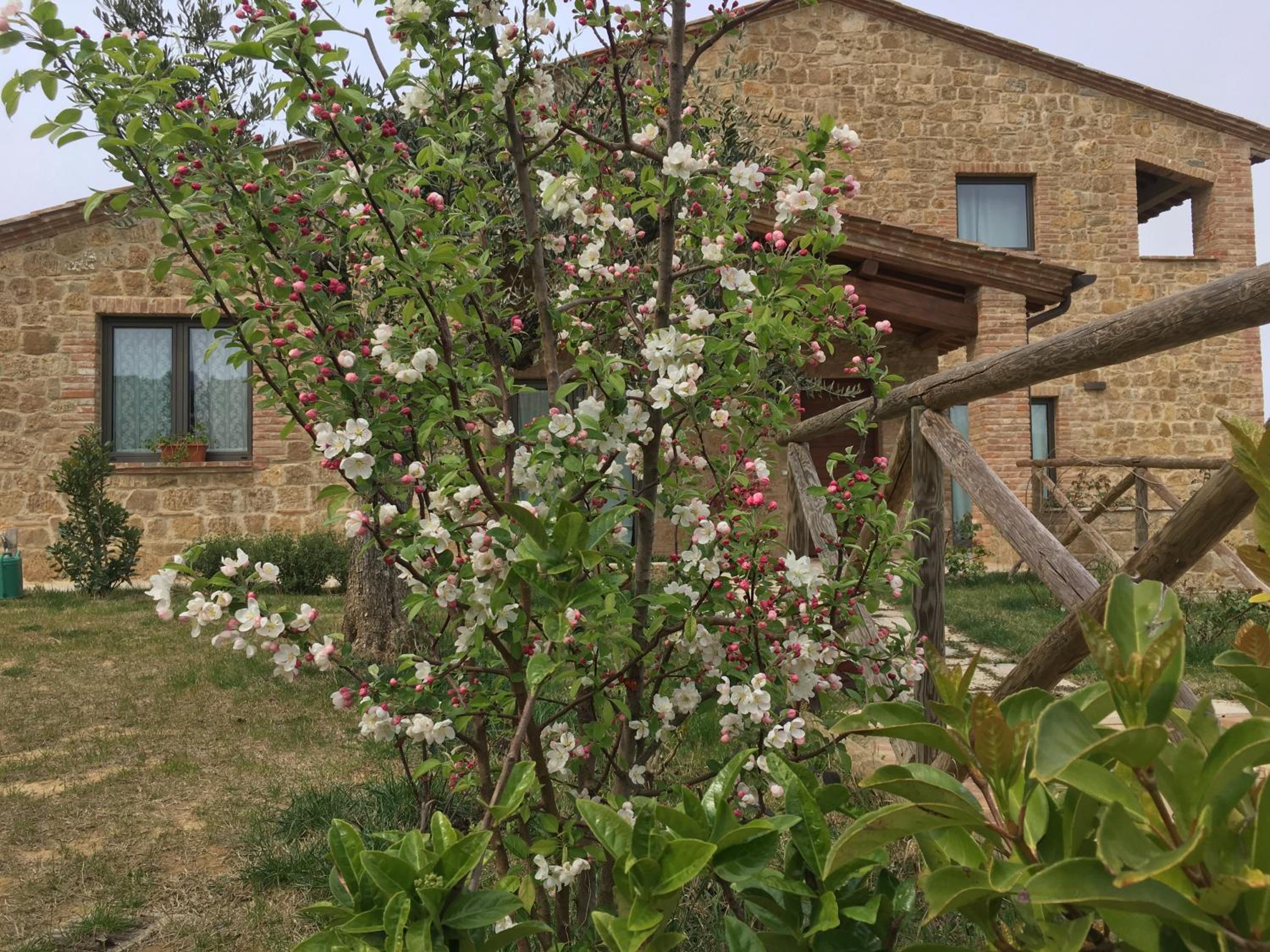Residenza al Poggio degli Ulivi view 5