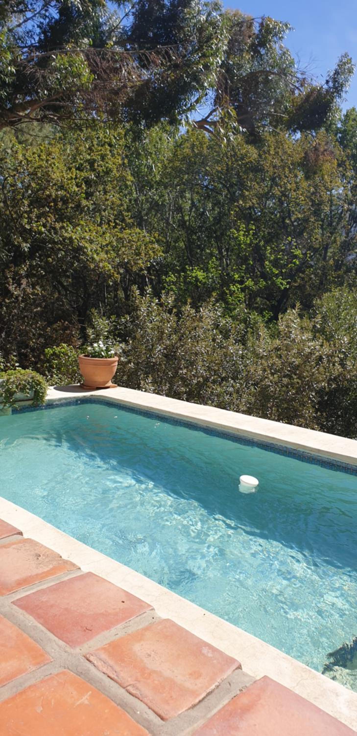 Little Willow Brooke - Image 5