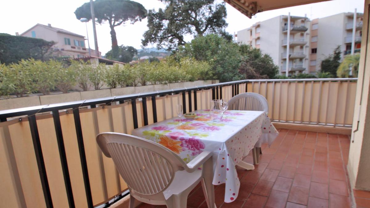 La Palmeraie view 4