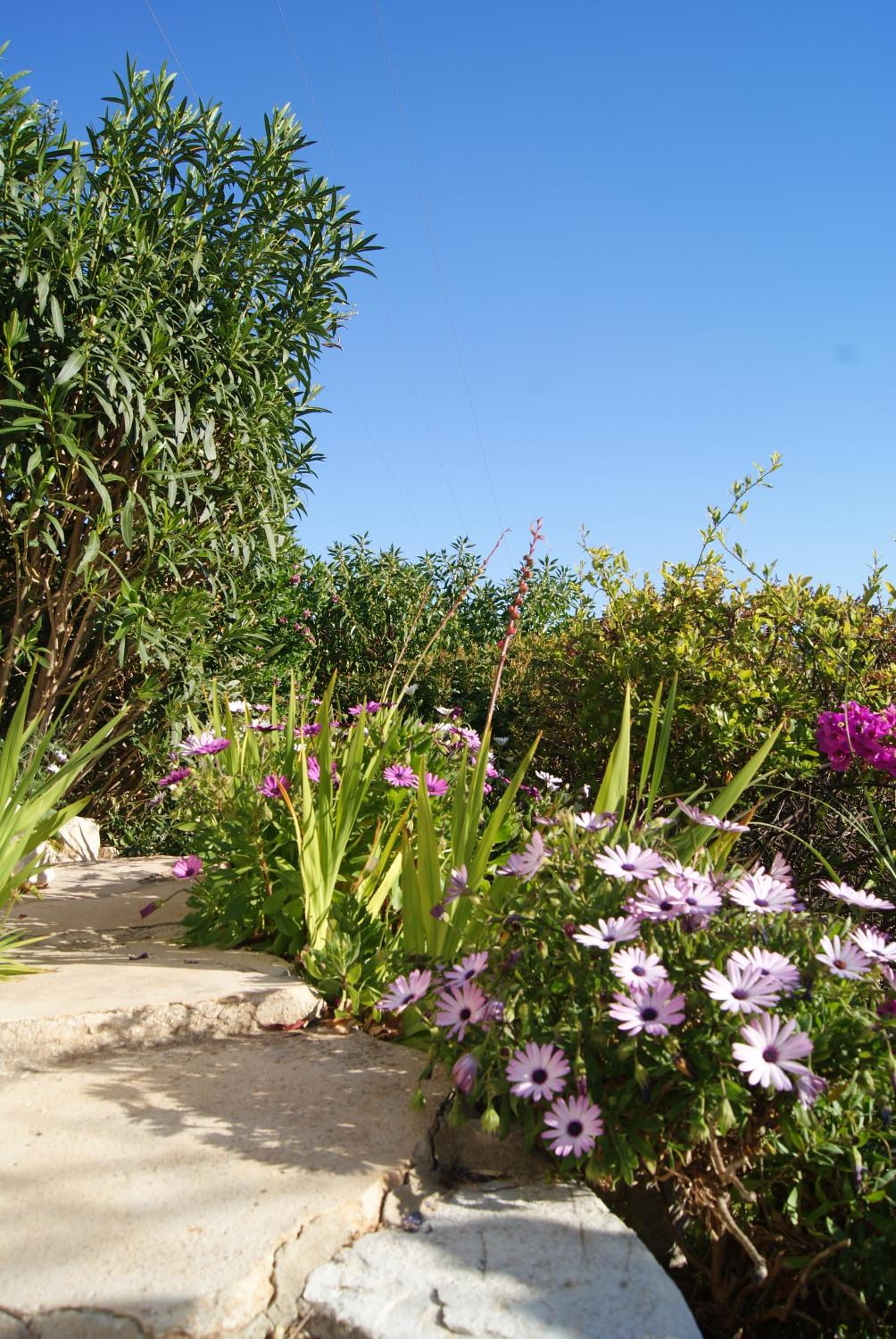 Villa ARMONIA