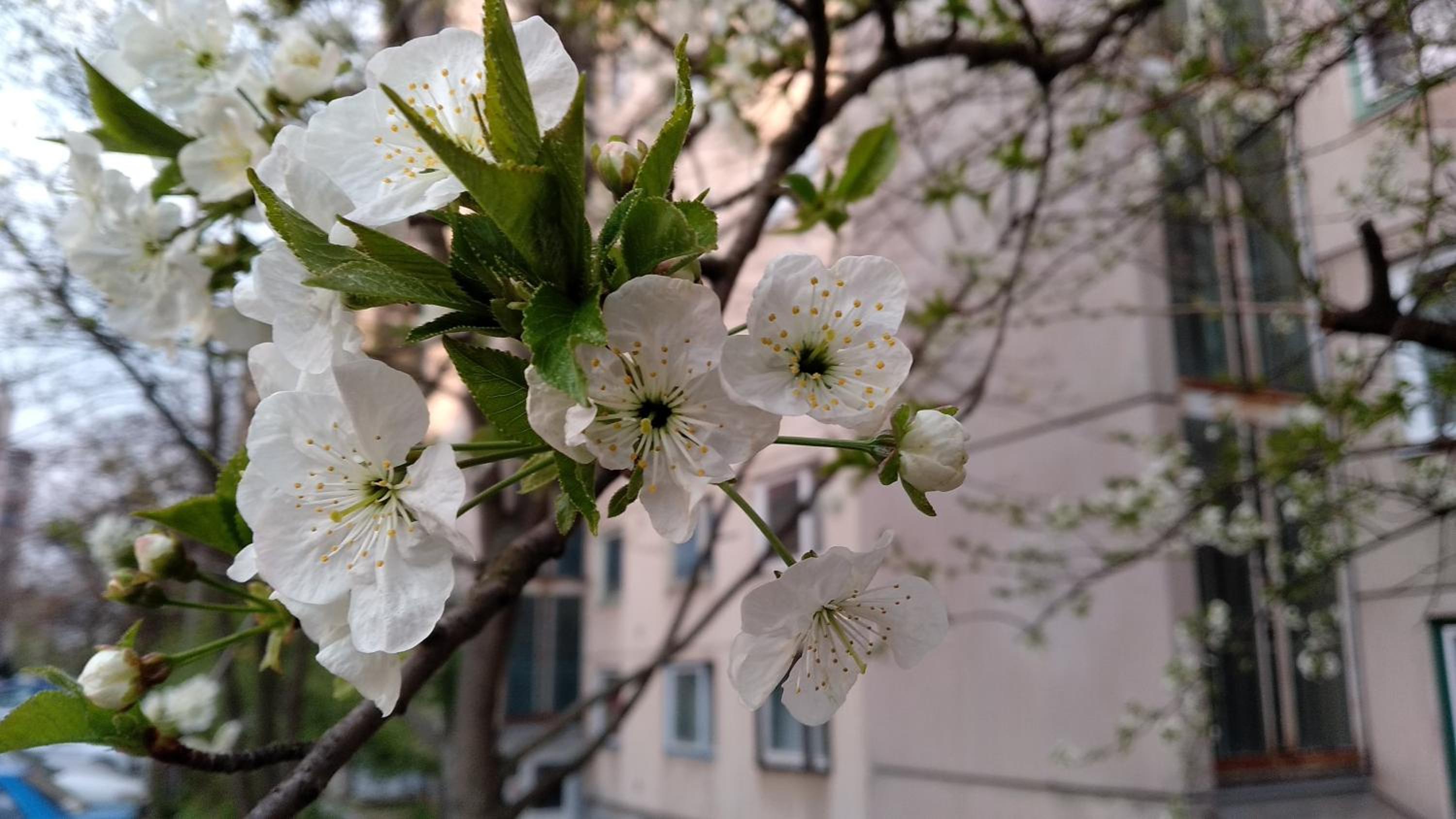 Photo 26