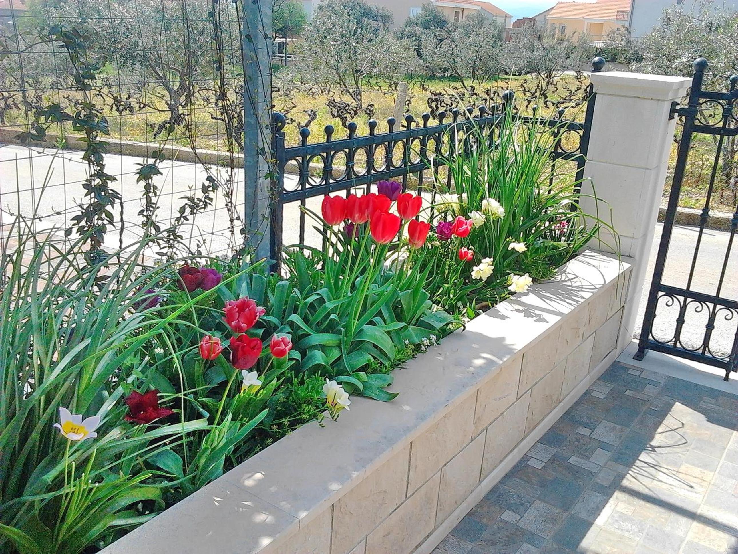 Apartments Sunny Side Orebić view 4