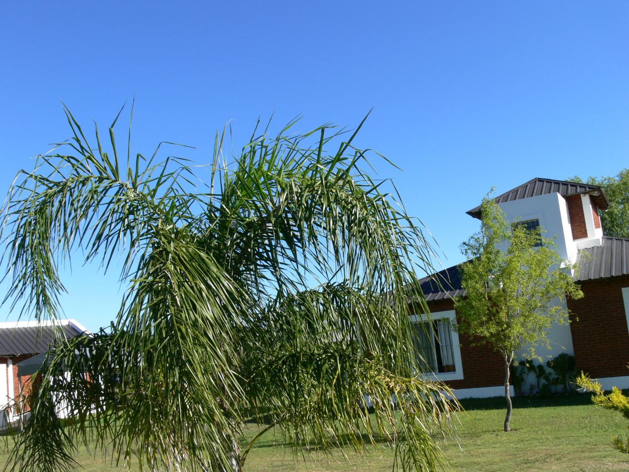 Cabañas Los Girasoles