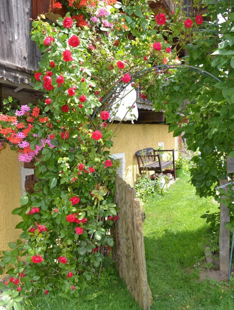 Bad Kleinkirchheim Bio Naturhof Ottingerhof