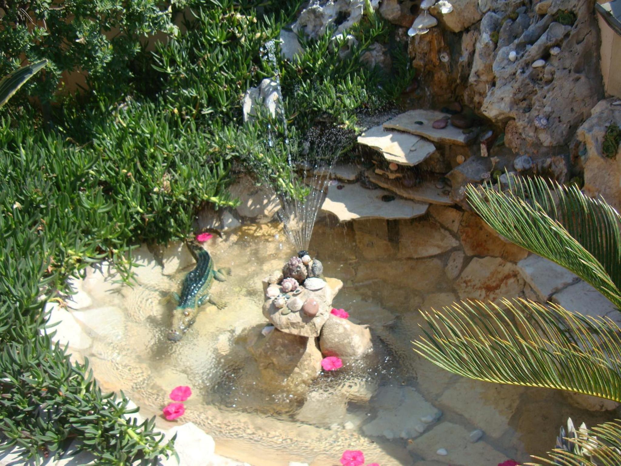 Photo 36