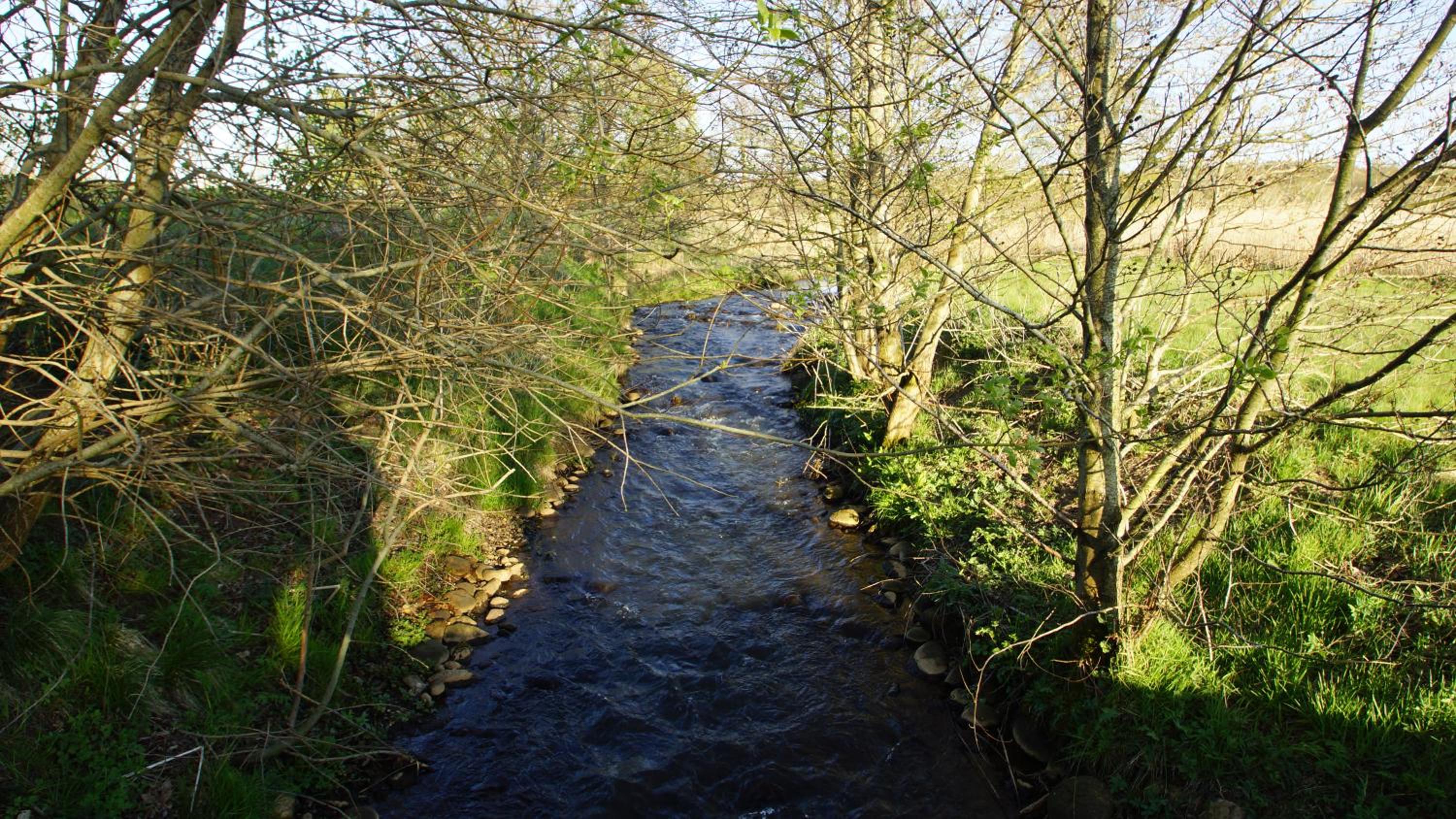 Truust Mill Fishing Park