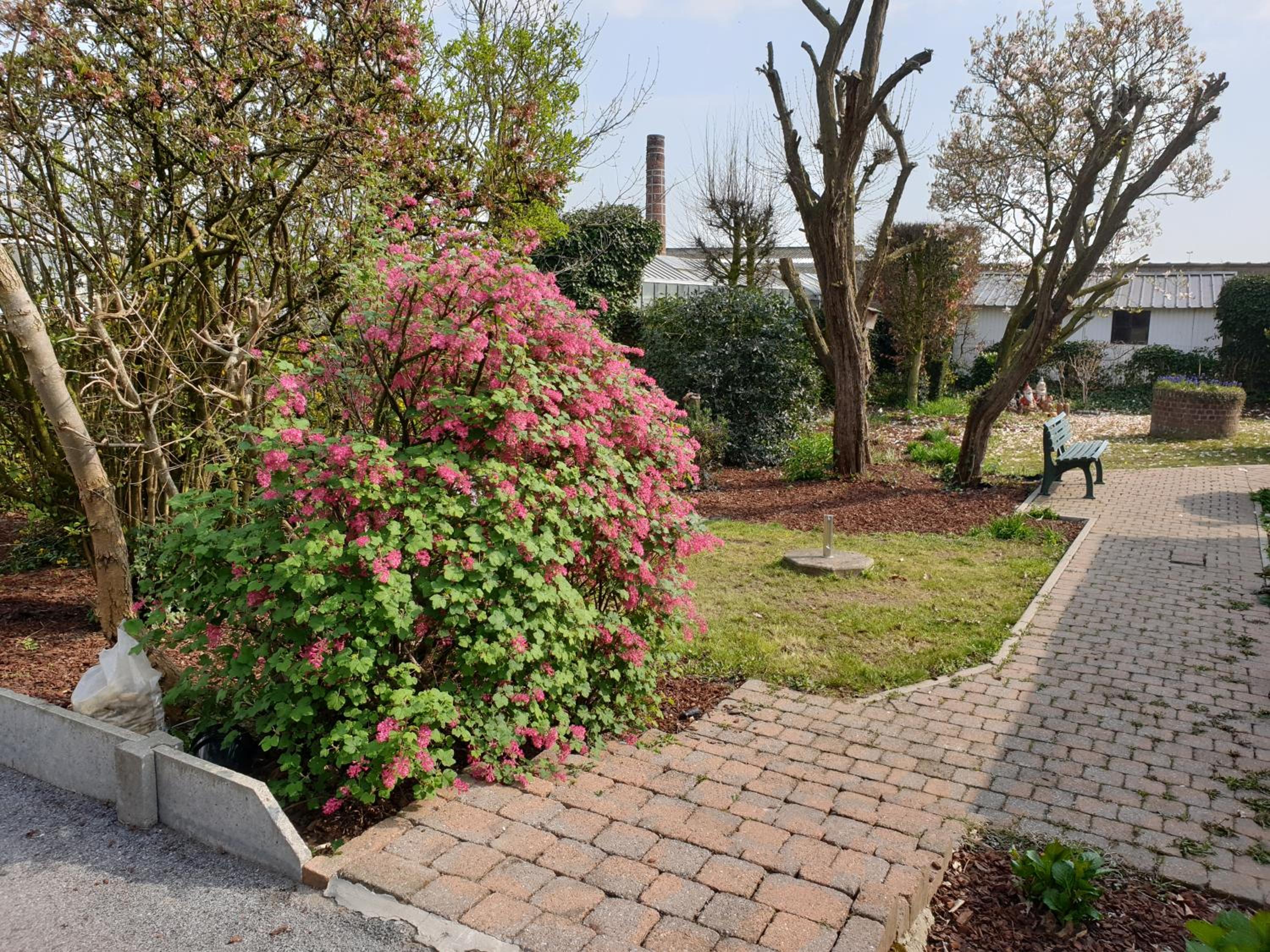 Photo 22