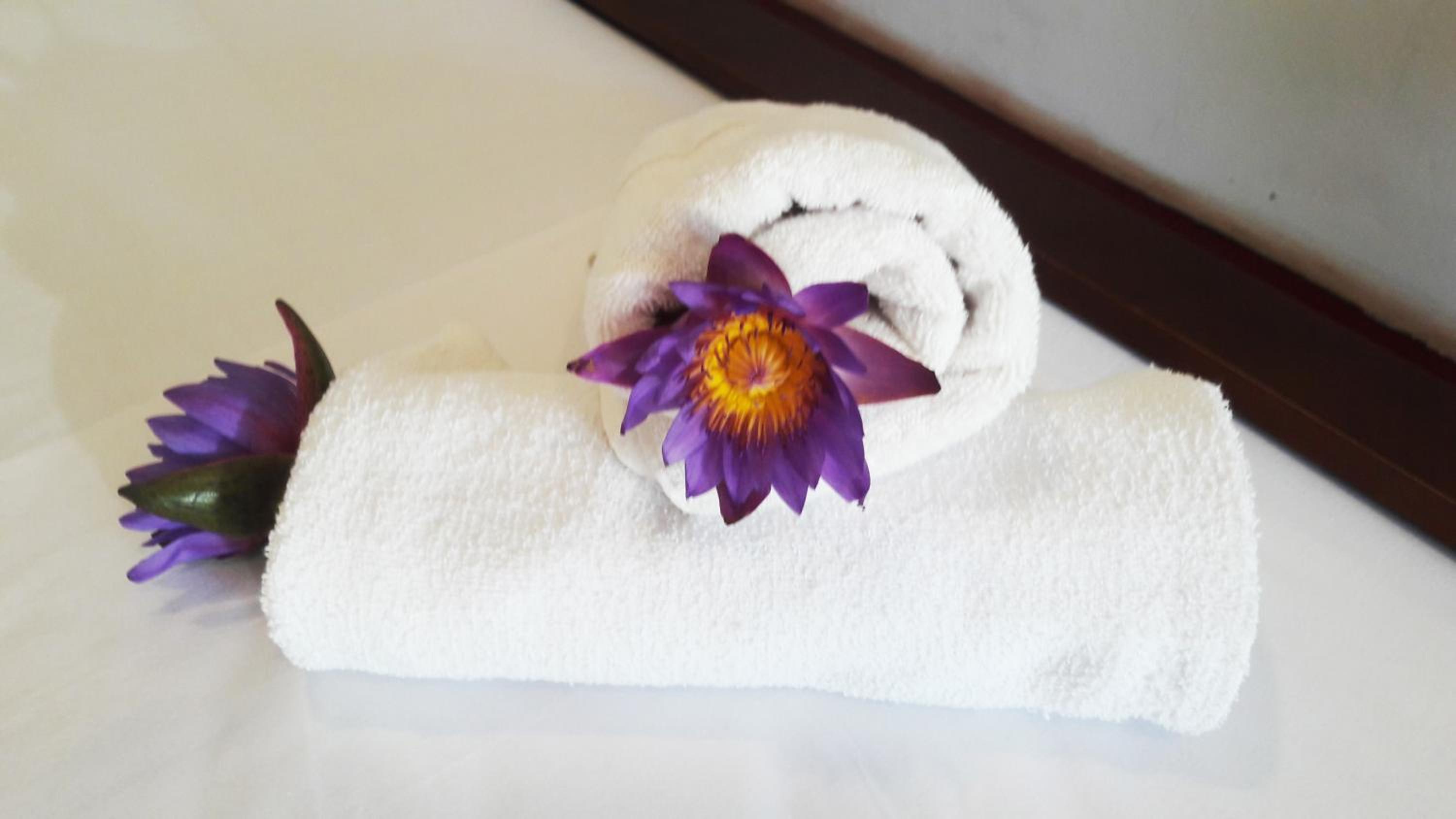 Richwin Villa Dambulla view 2
