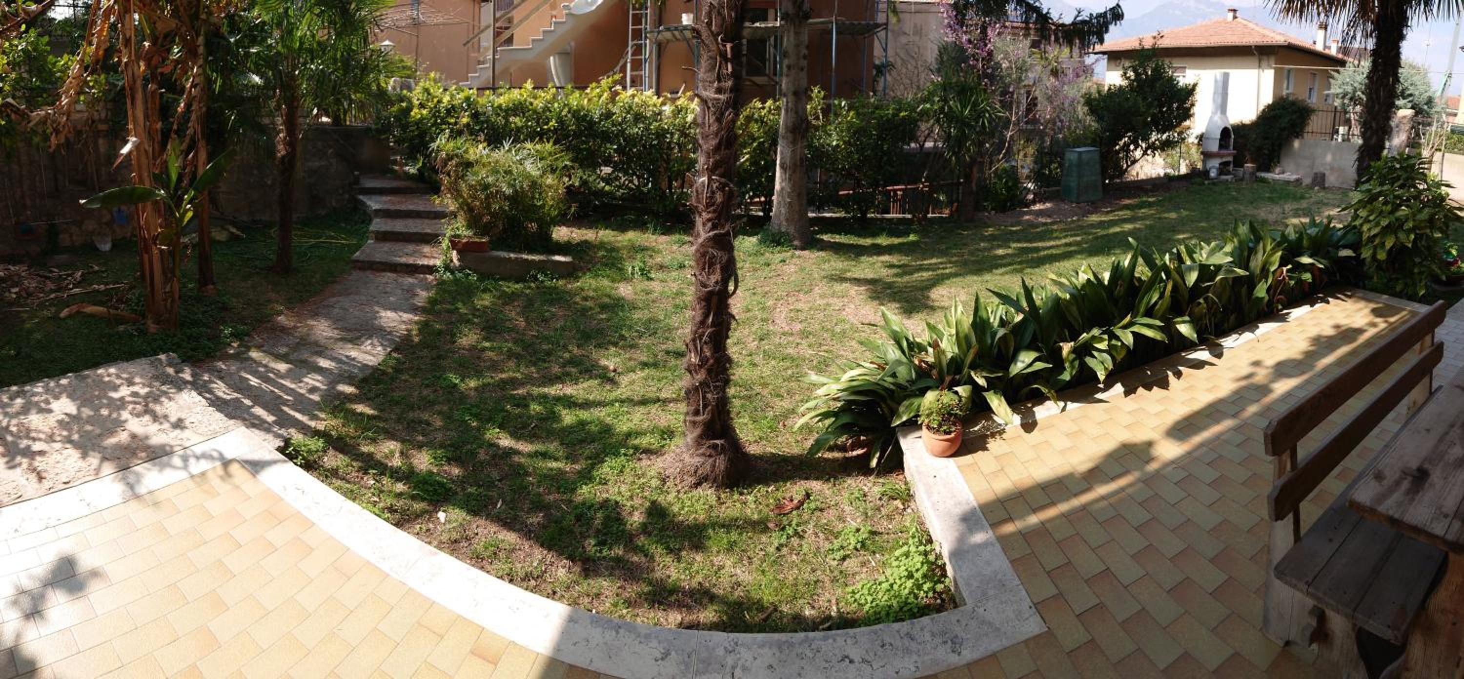Oasi view 2