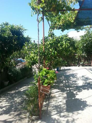 Photo 32