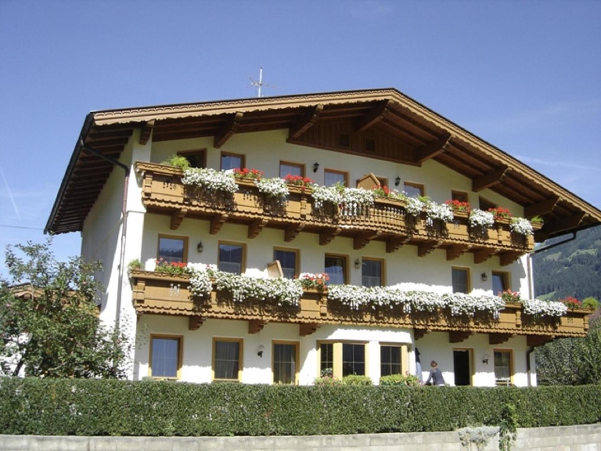 Photo 23