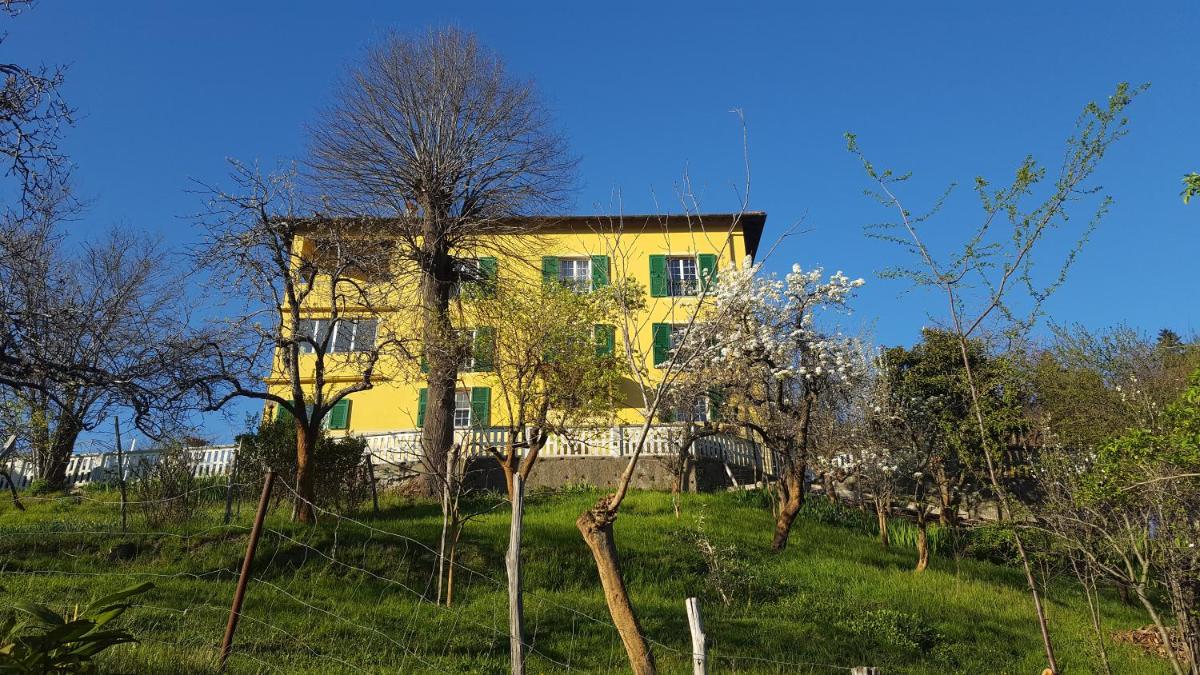 Villa Maria view 4