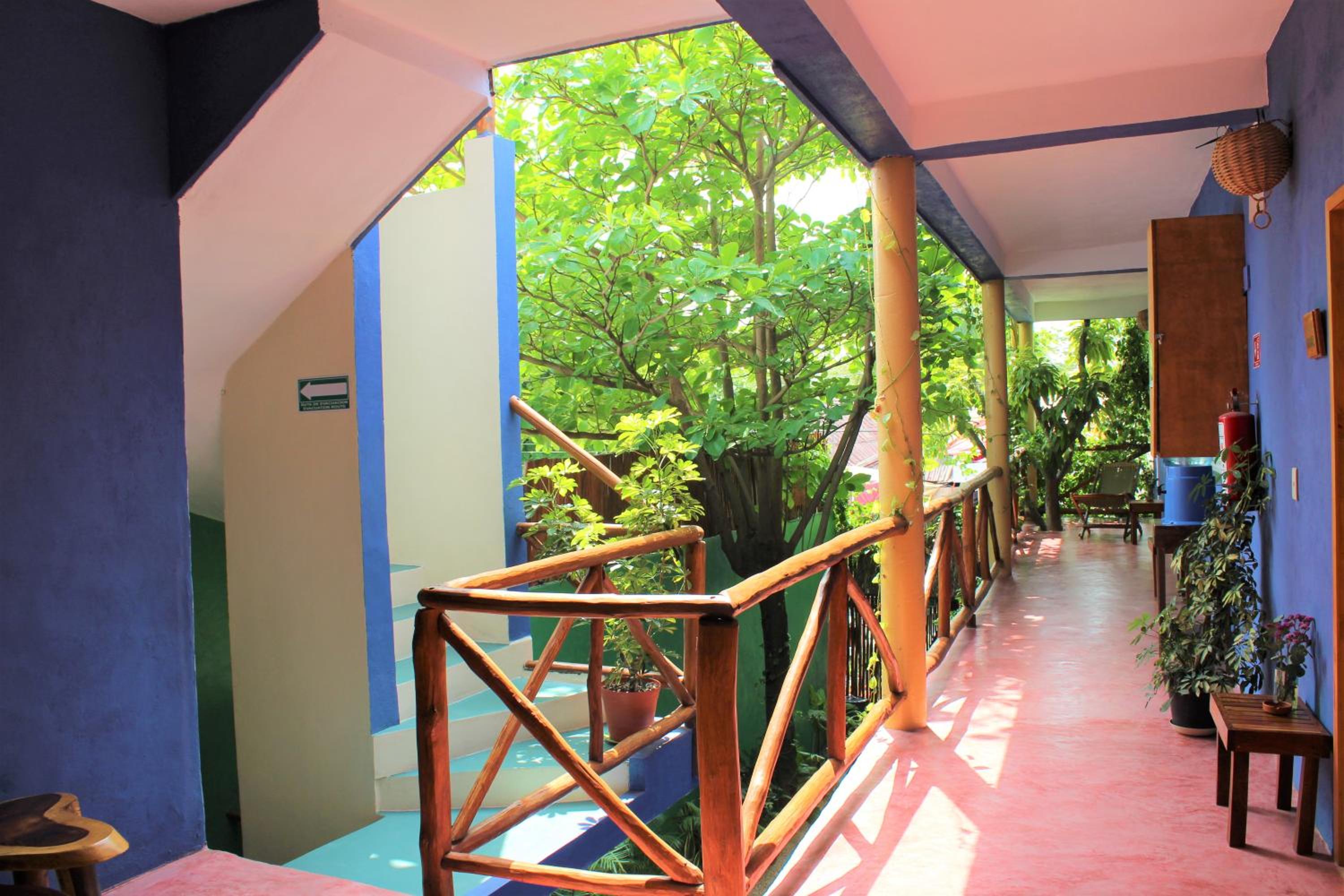 Photo 33 sur 56 de Casa Almendro
