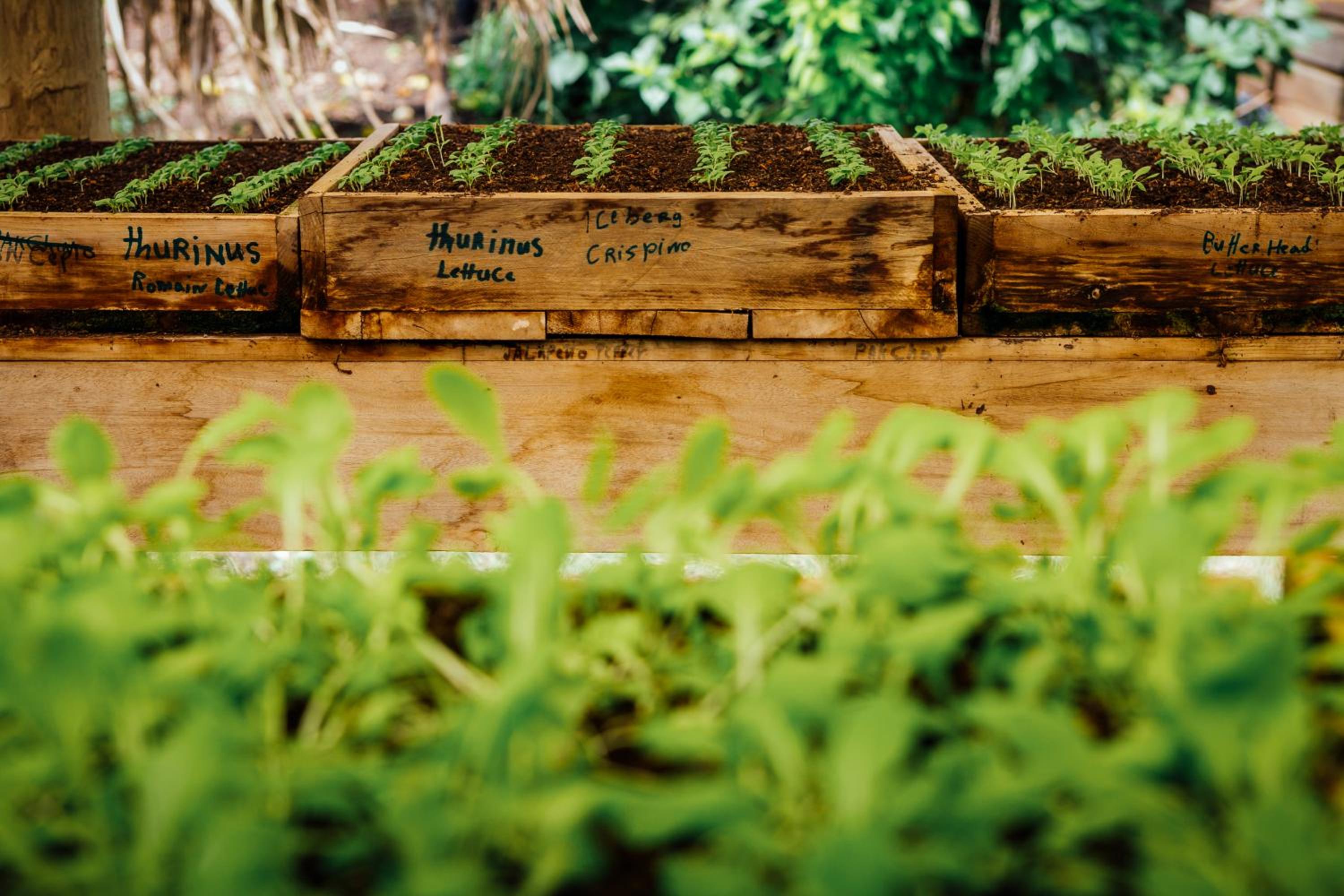 Belize Vacations - The Lodge at ChaaCreek - Property Image 17