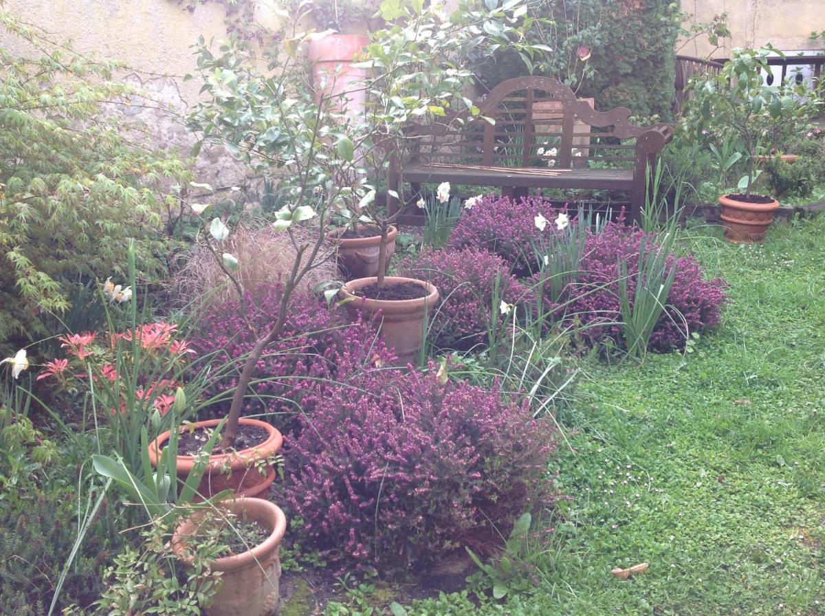 Photo 19
