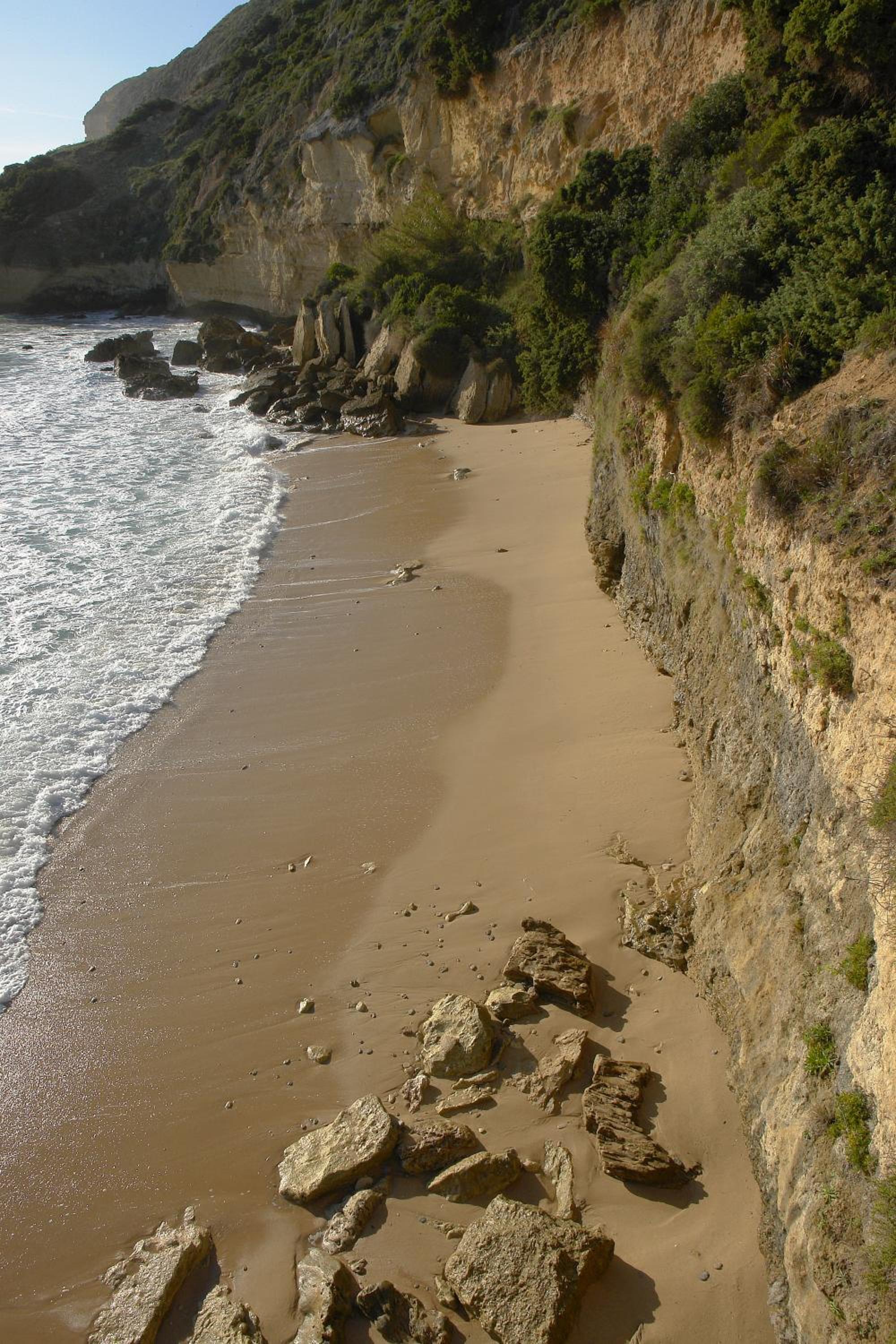 Photo 42