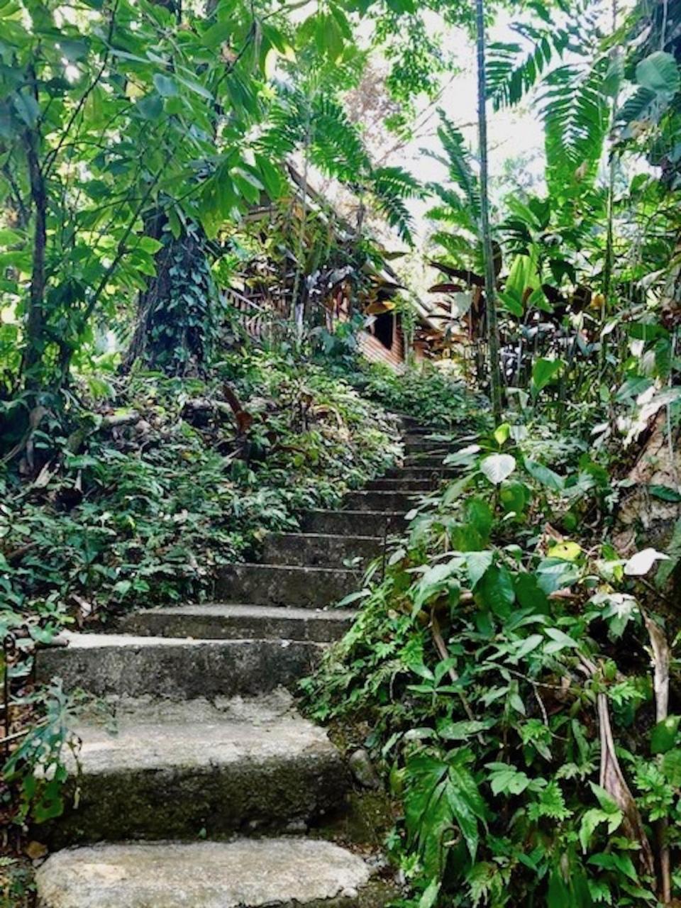 Las Ranitas view 5