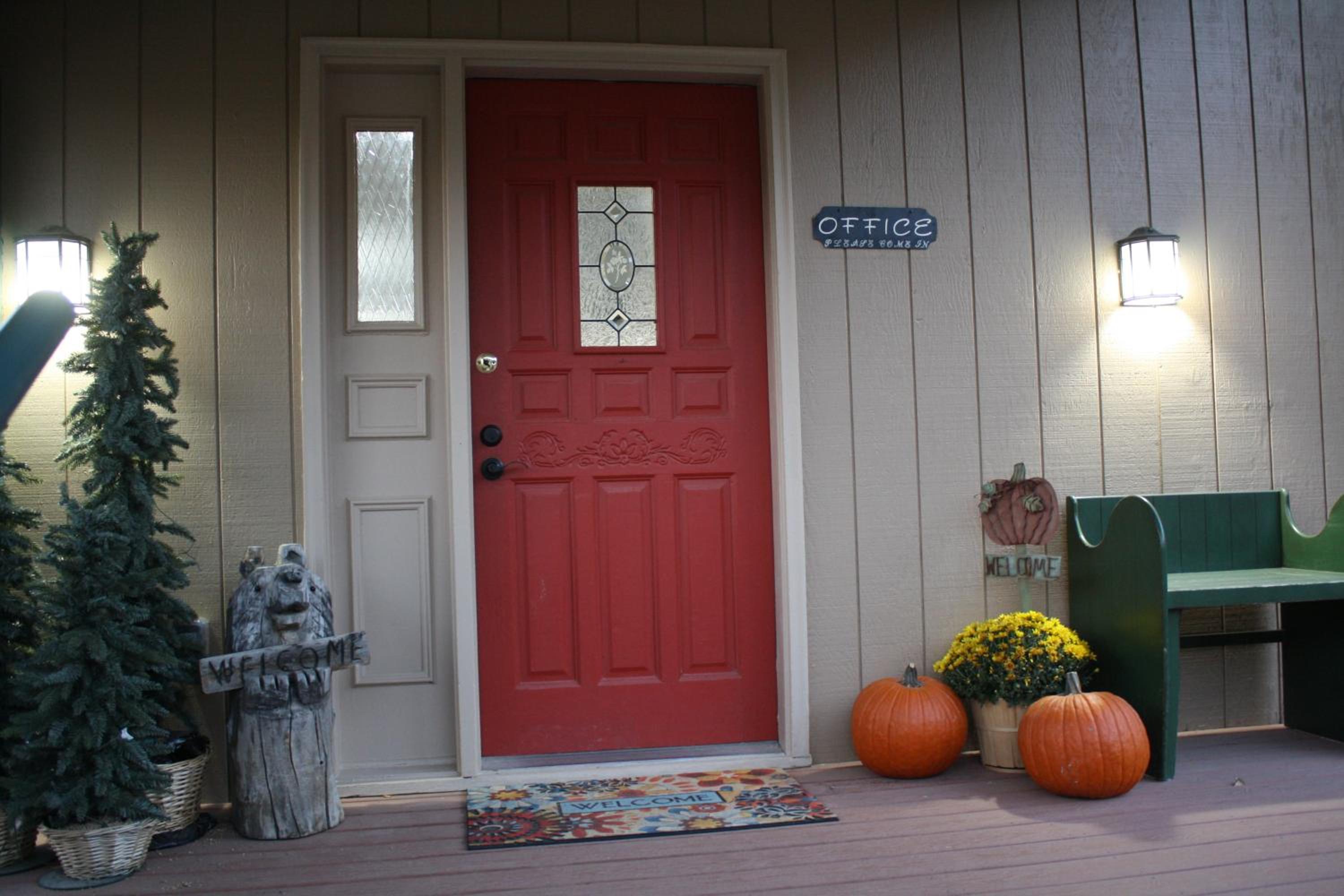 Photo 11