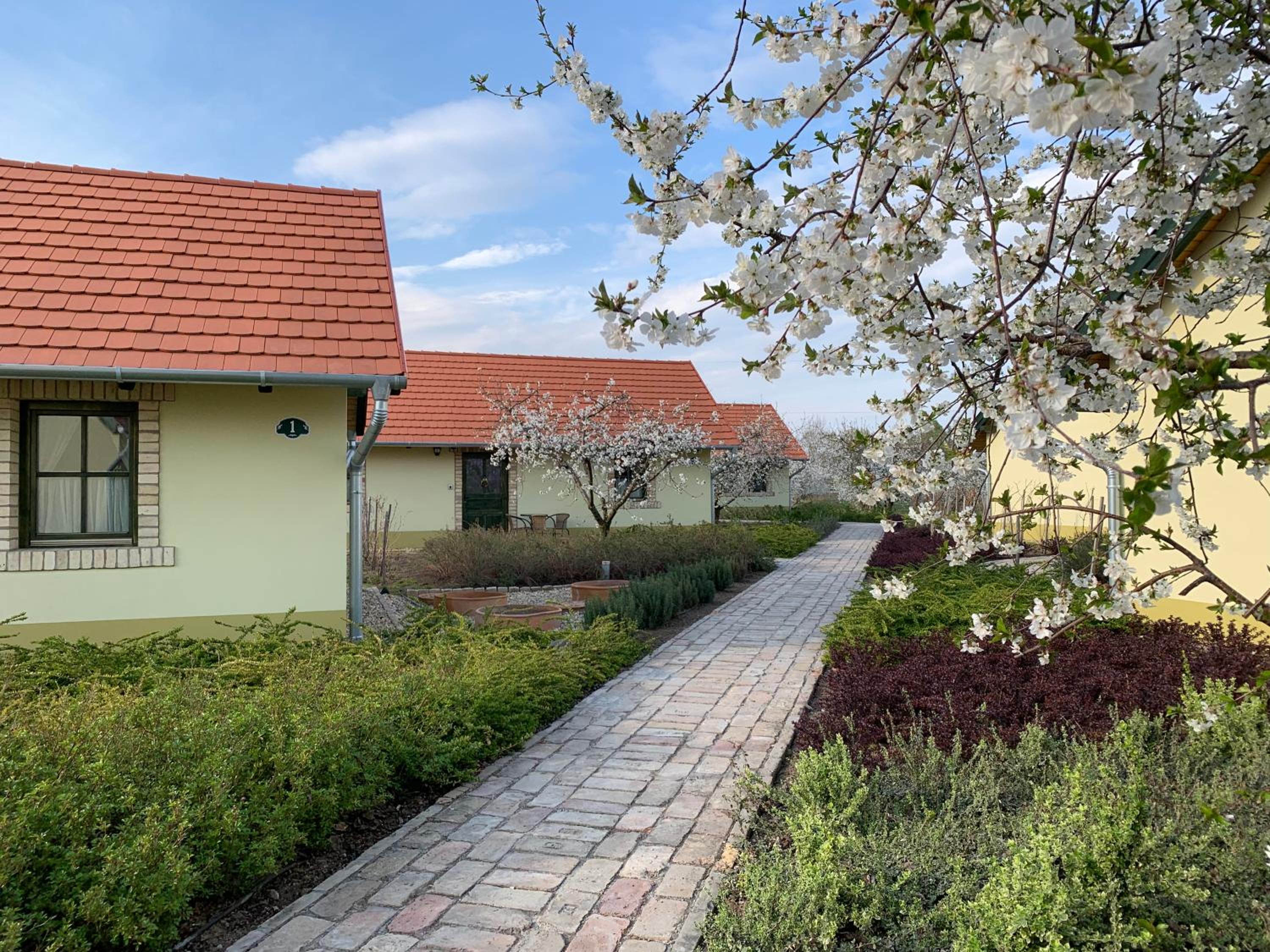 BÉNI family wine farm view 4