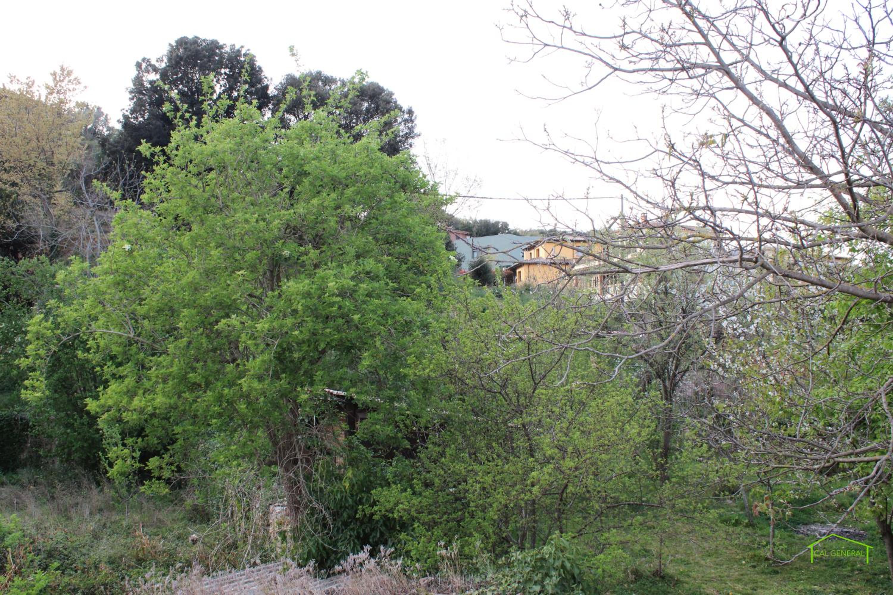 CAL GENERAL