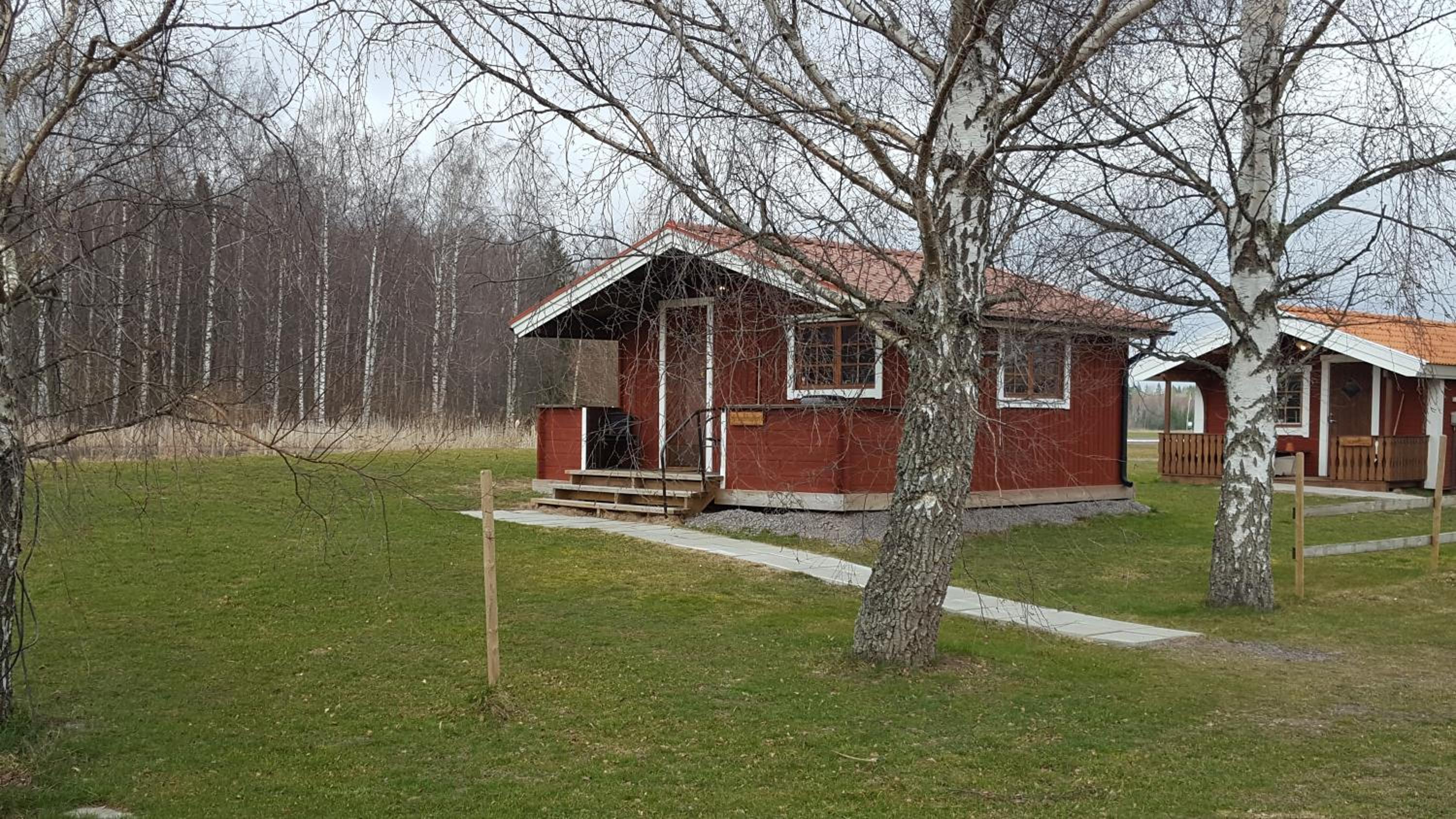 Photo 7