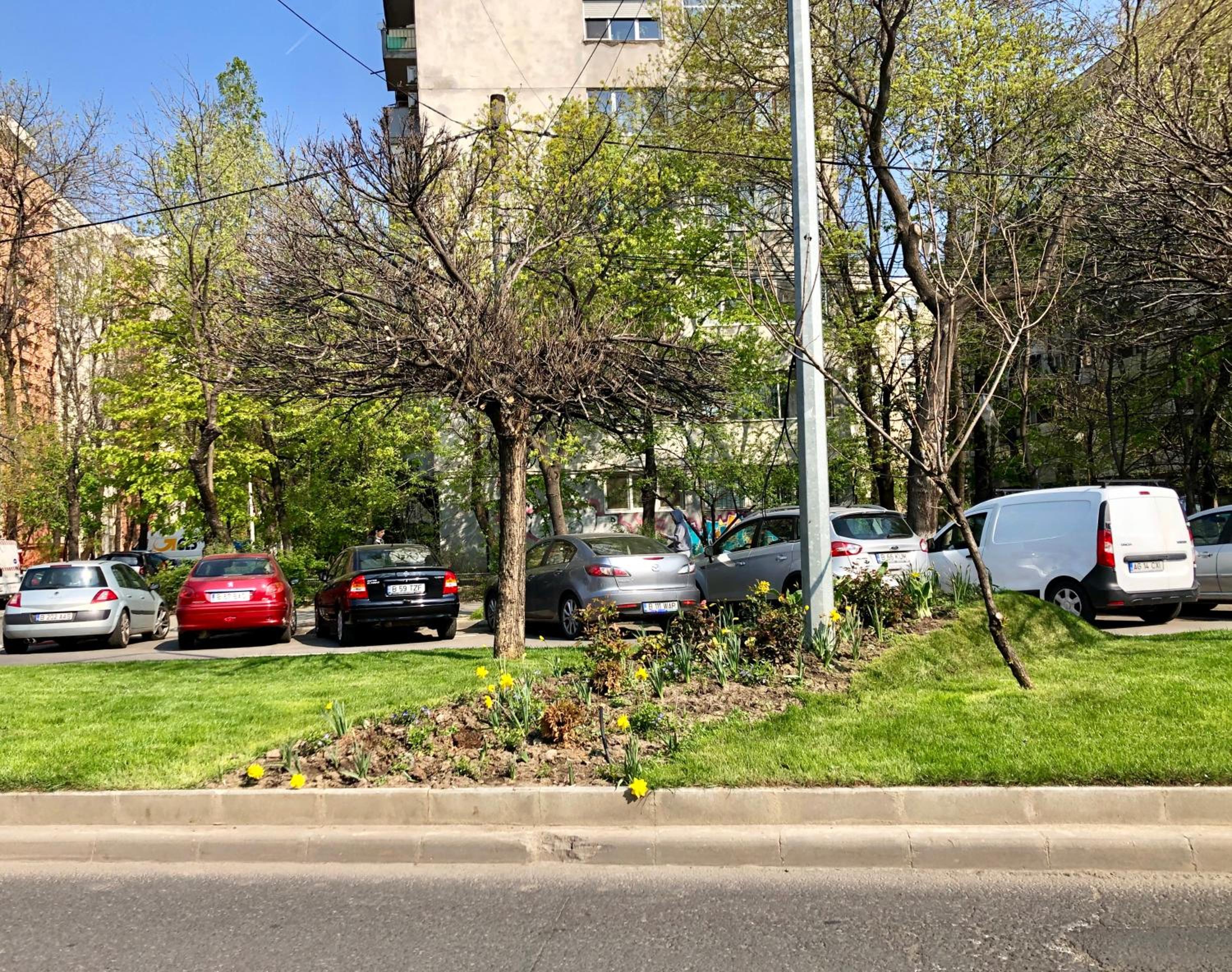 parking