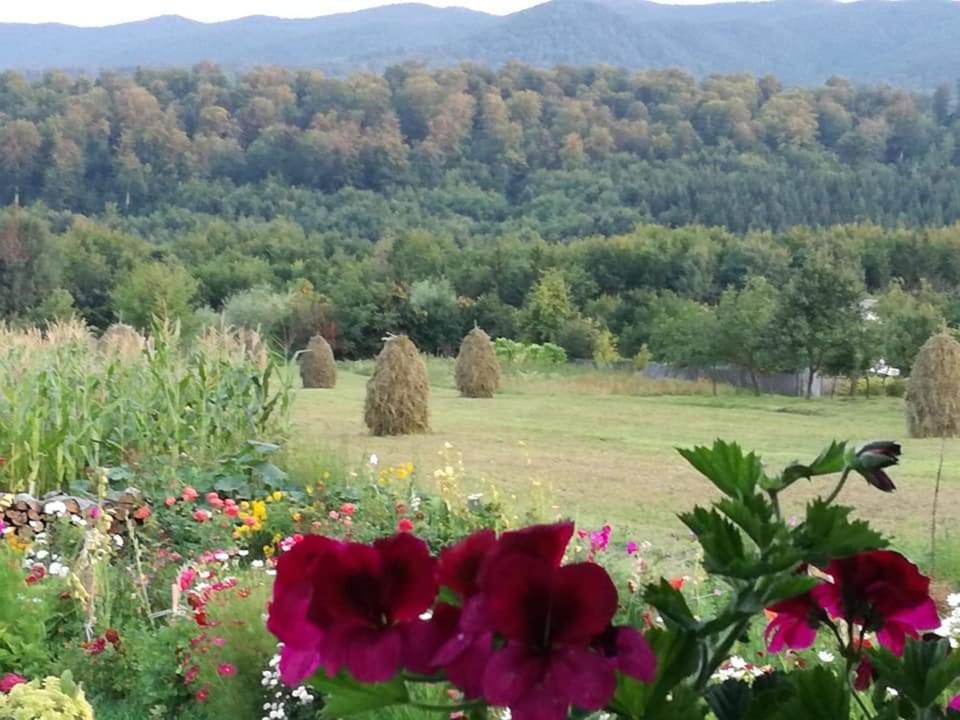 Pensiunea La Poarta Bucovinei