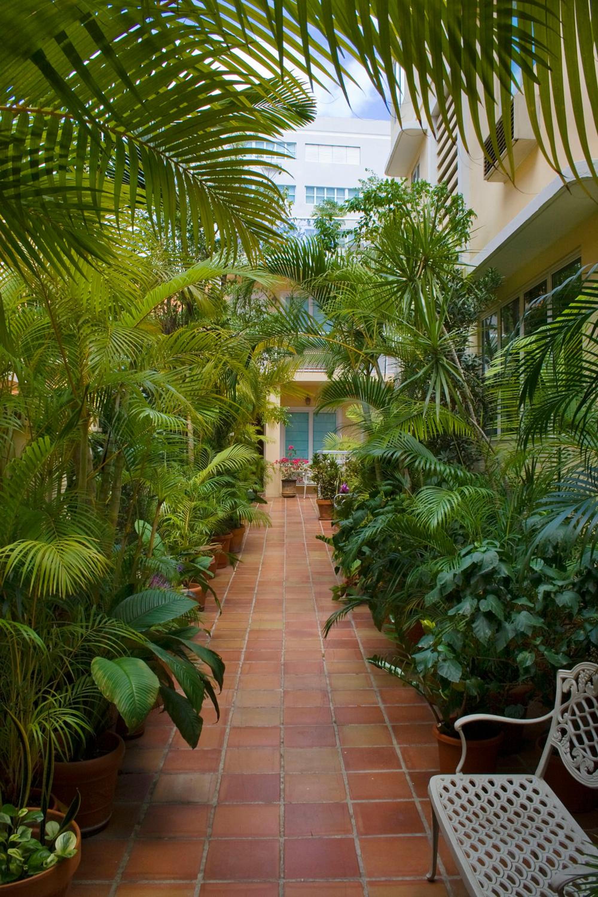 Coral Princess Hotel - Property Image 41