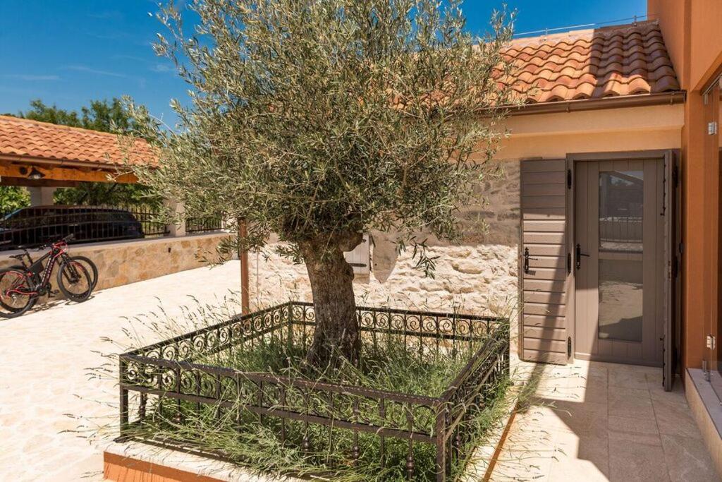 Villa Hirundo Rustica