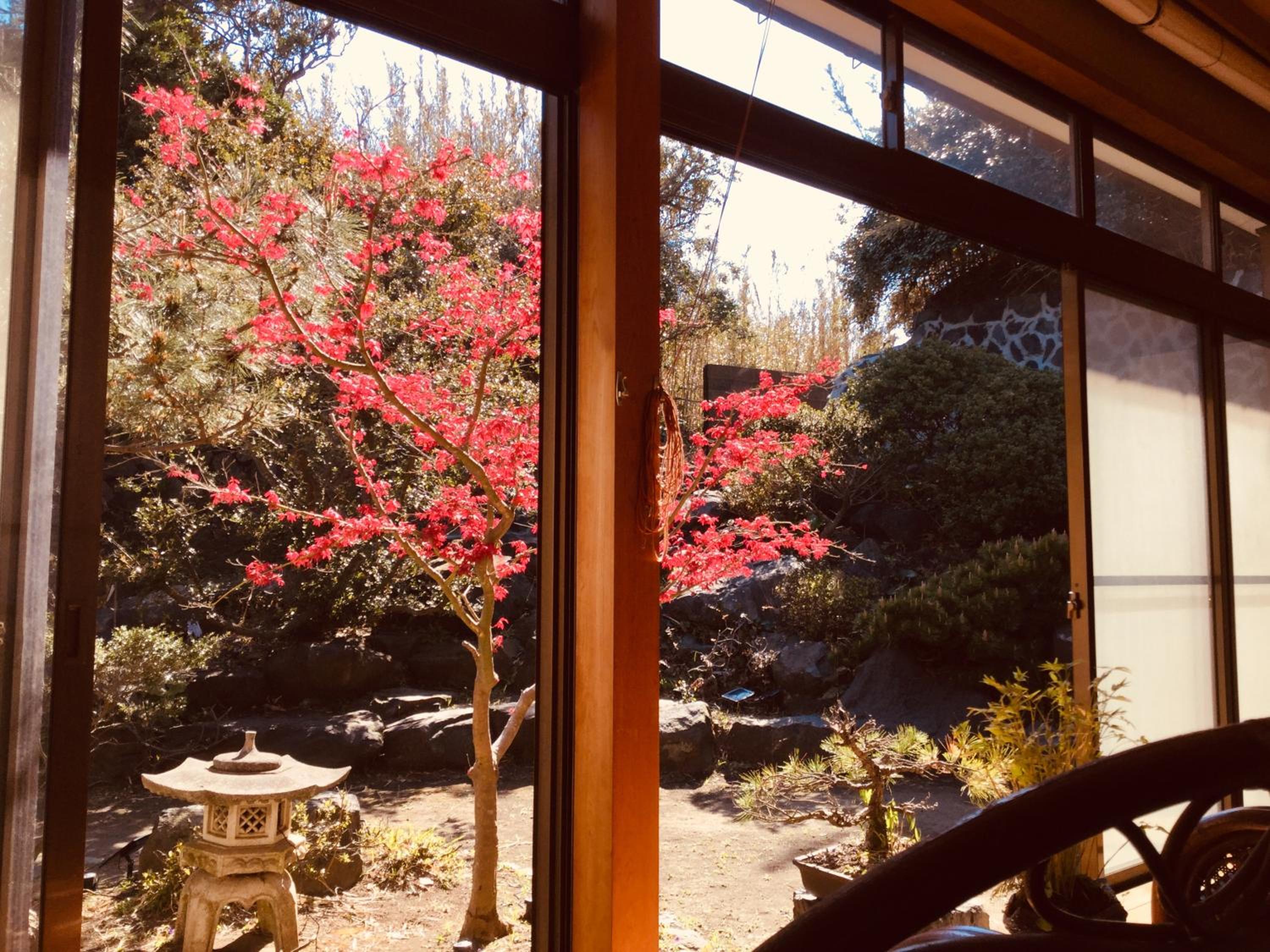 島の宿 近 〜KON〜