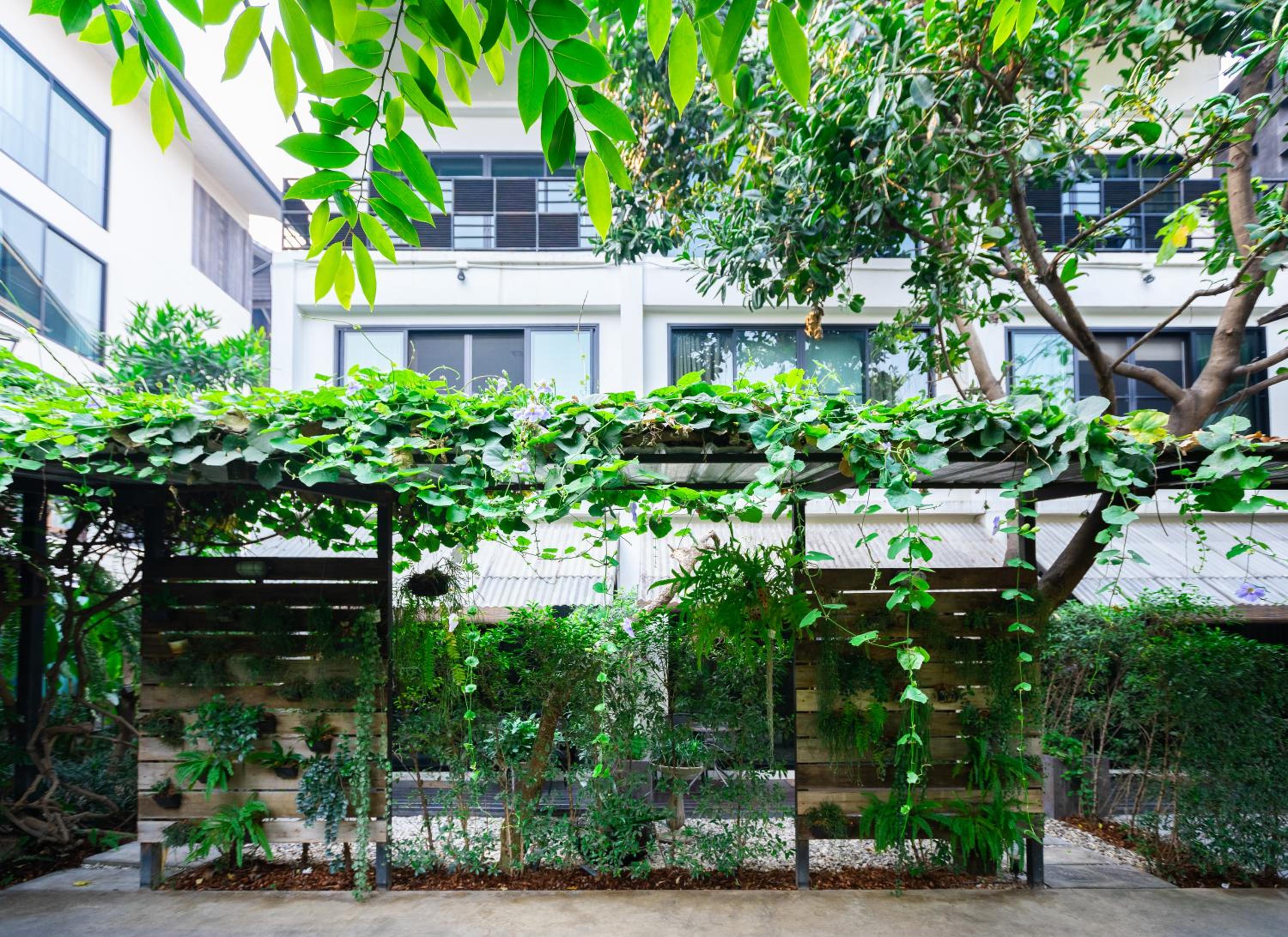 Gord ChiangMai Hotel