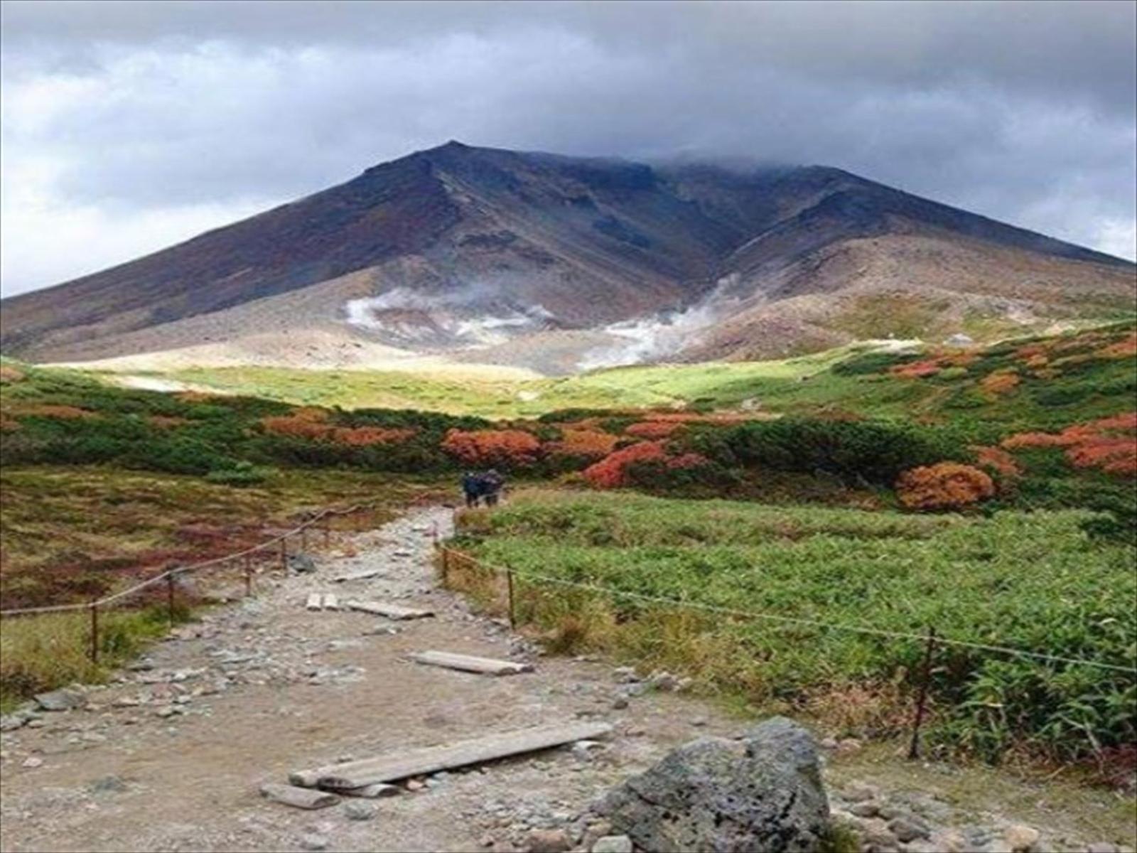 Photo 56