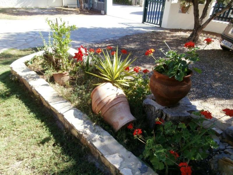 Photo 44
