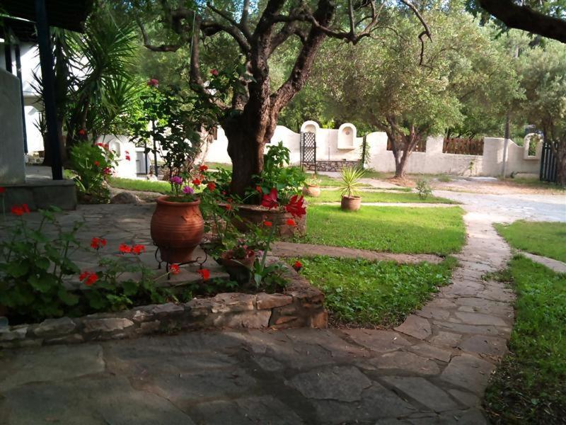 Photo 46