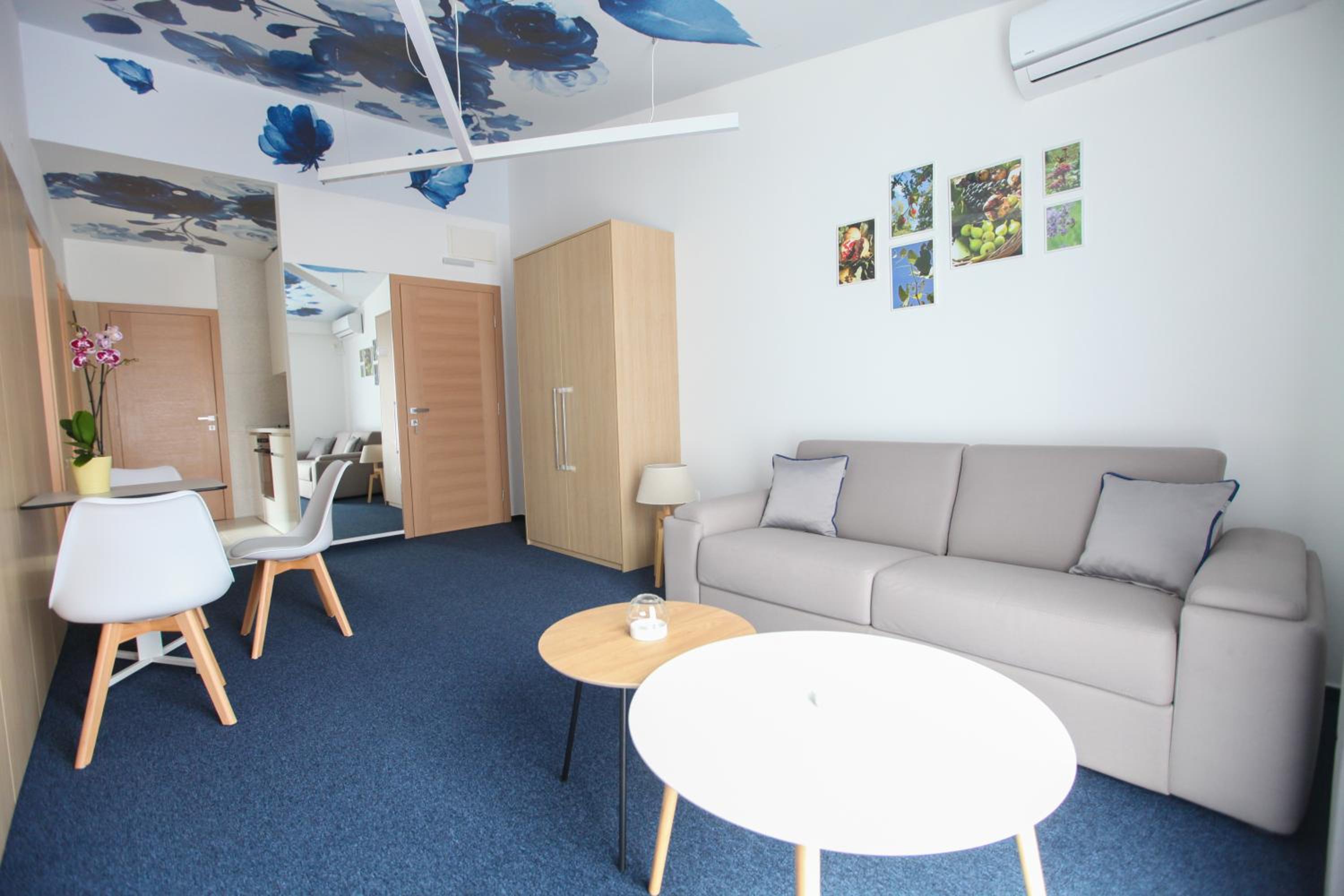 Luxury Apartments Taša