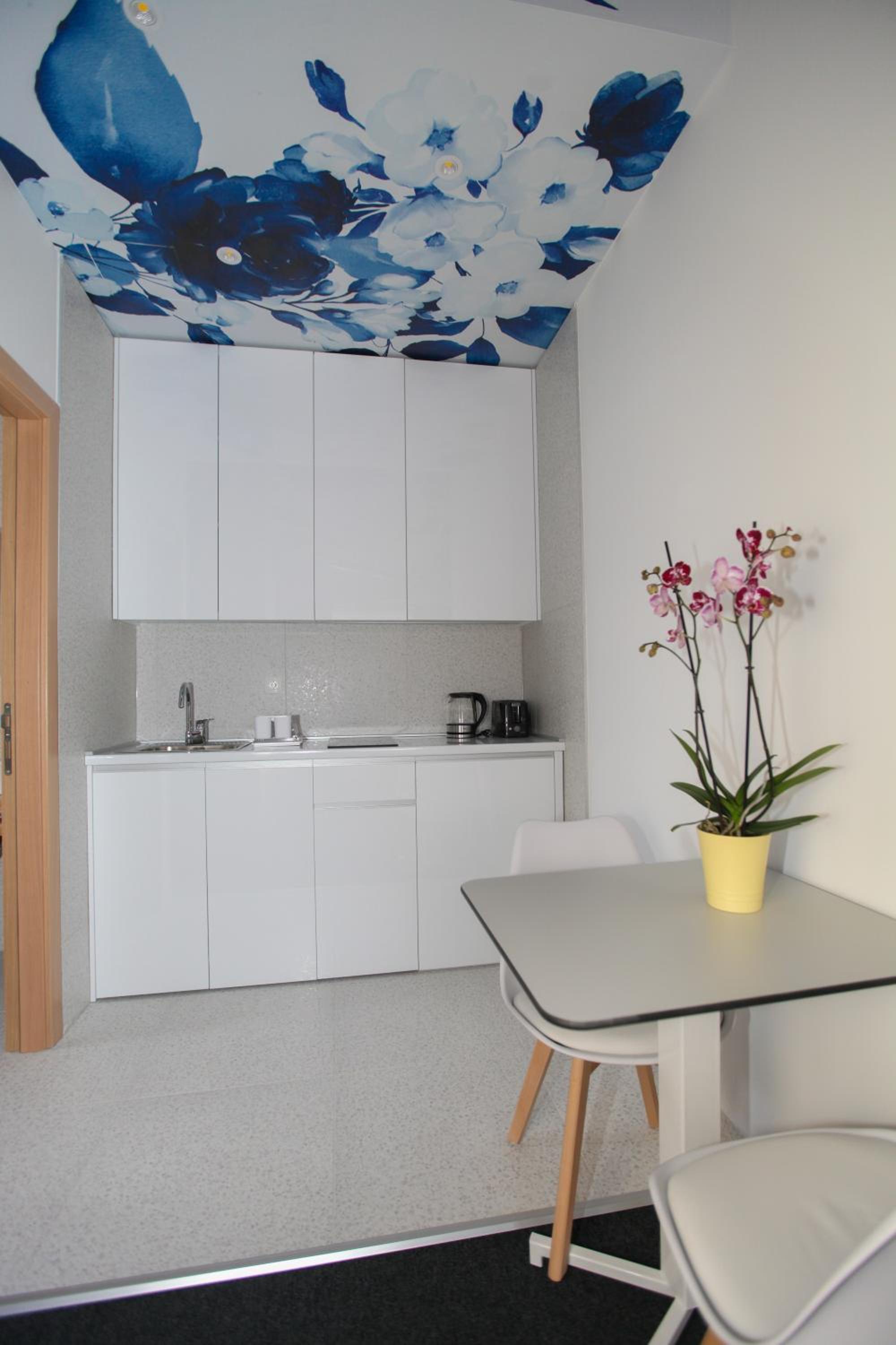 Luxury Apartments Taša
