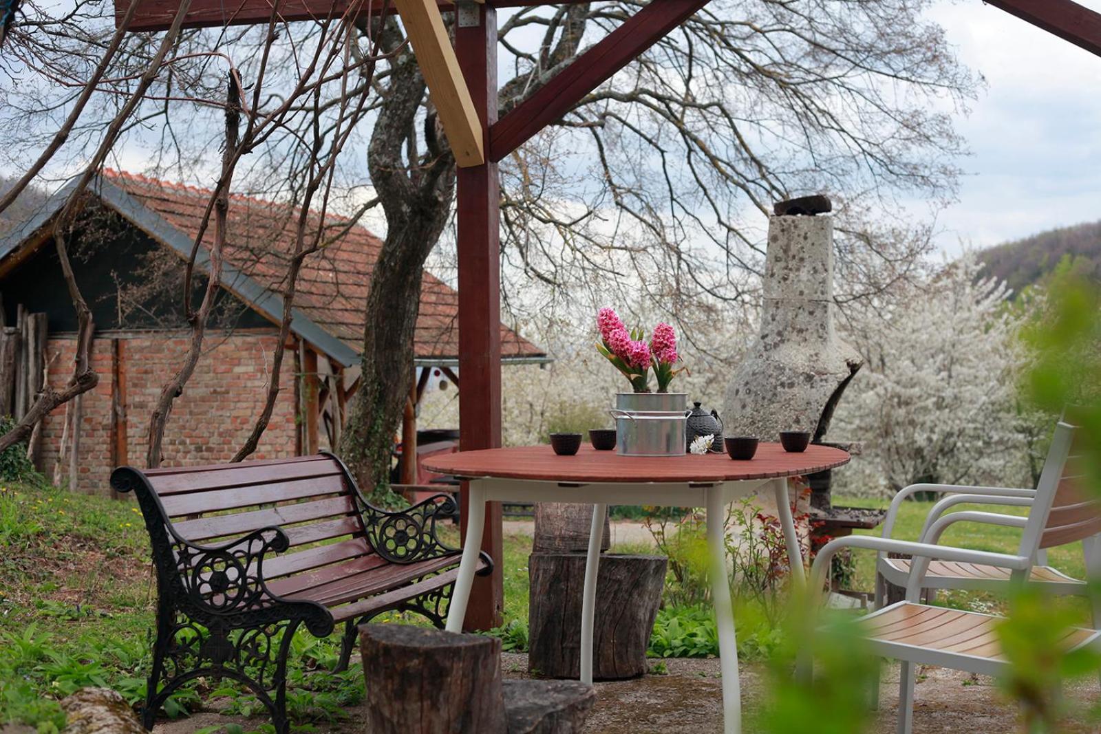 Na Okić - a private forest oasis