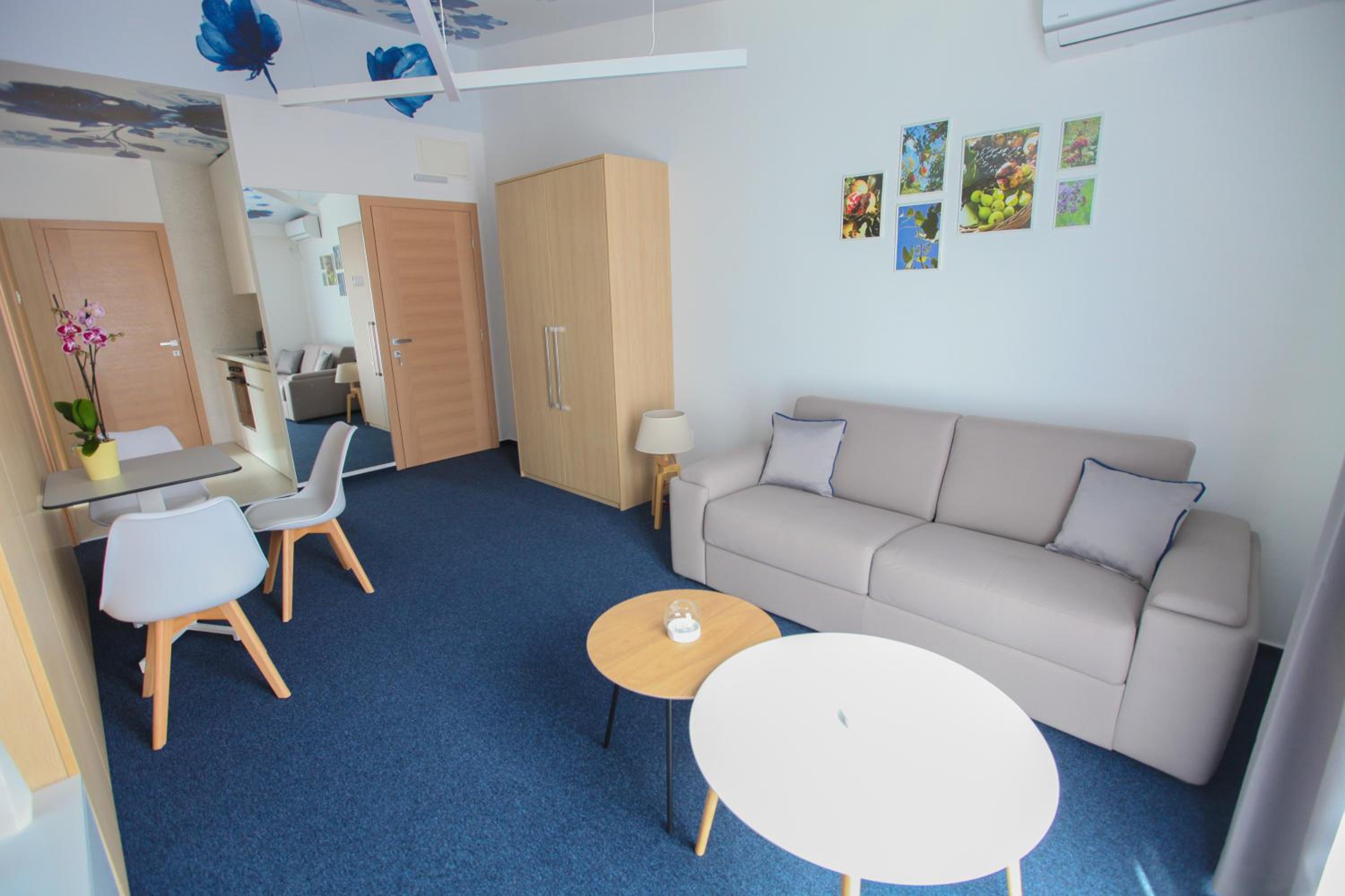 Luxury Apartments Taša