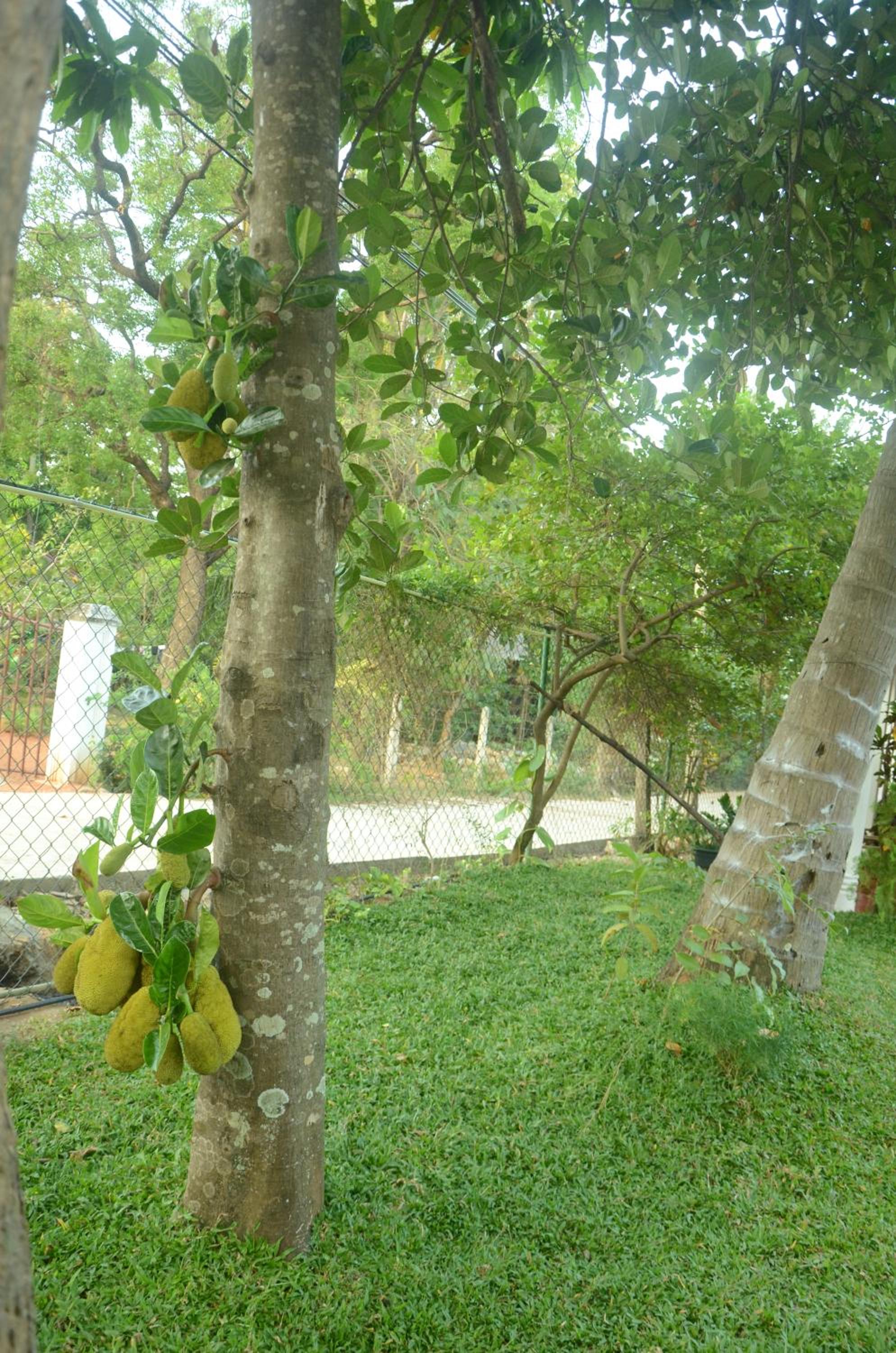 Sihagiri Homestay