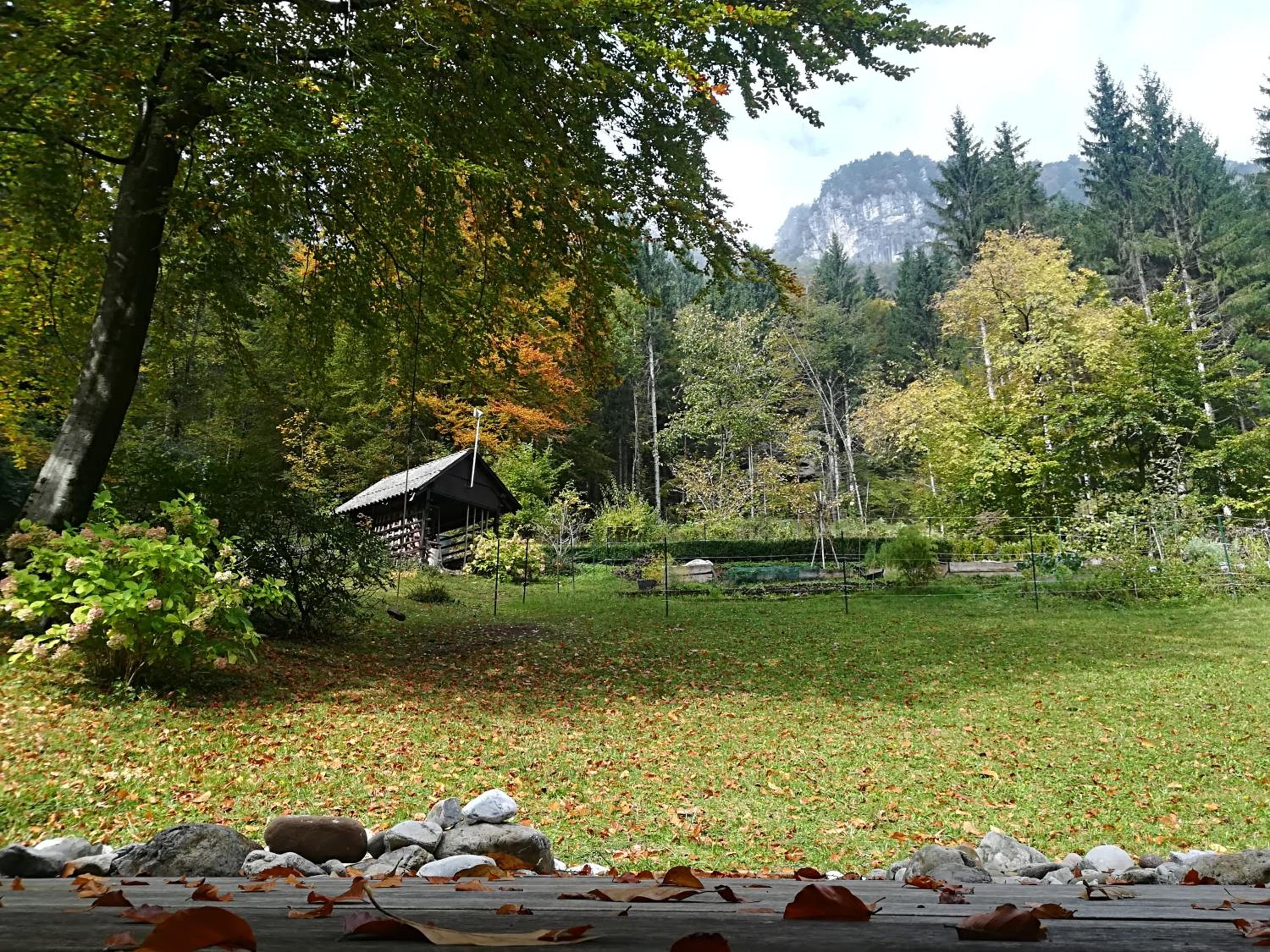 Photo 23