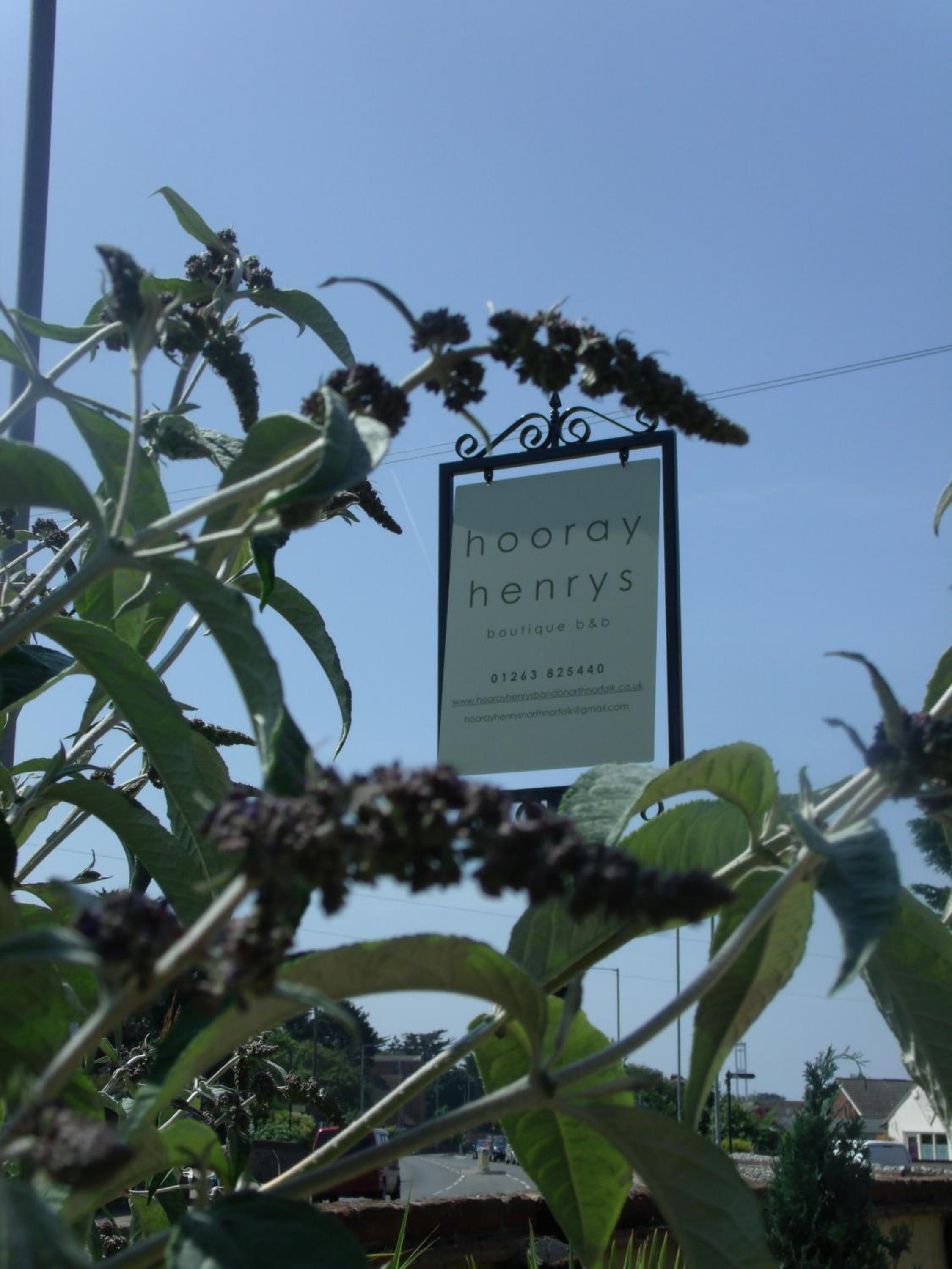 Hooray Henrys Sheringham
