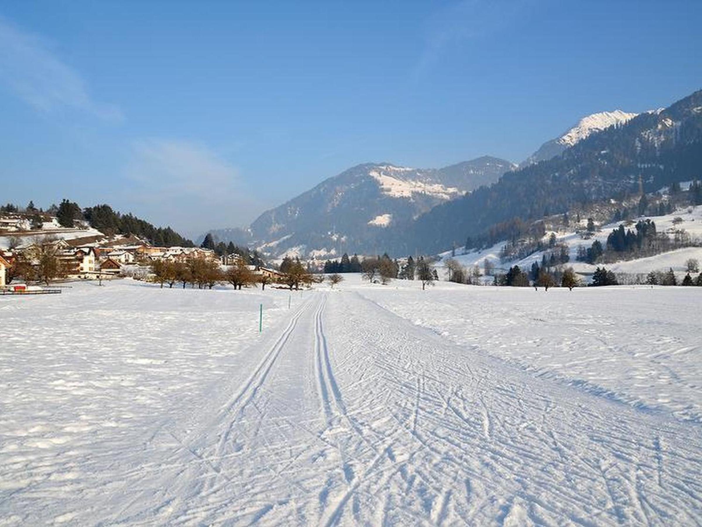 Apartment Piz Mundaun
