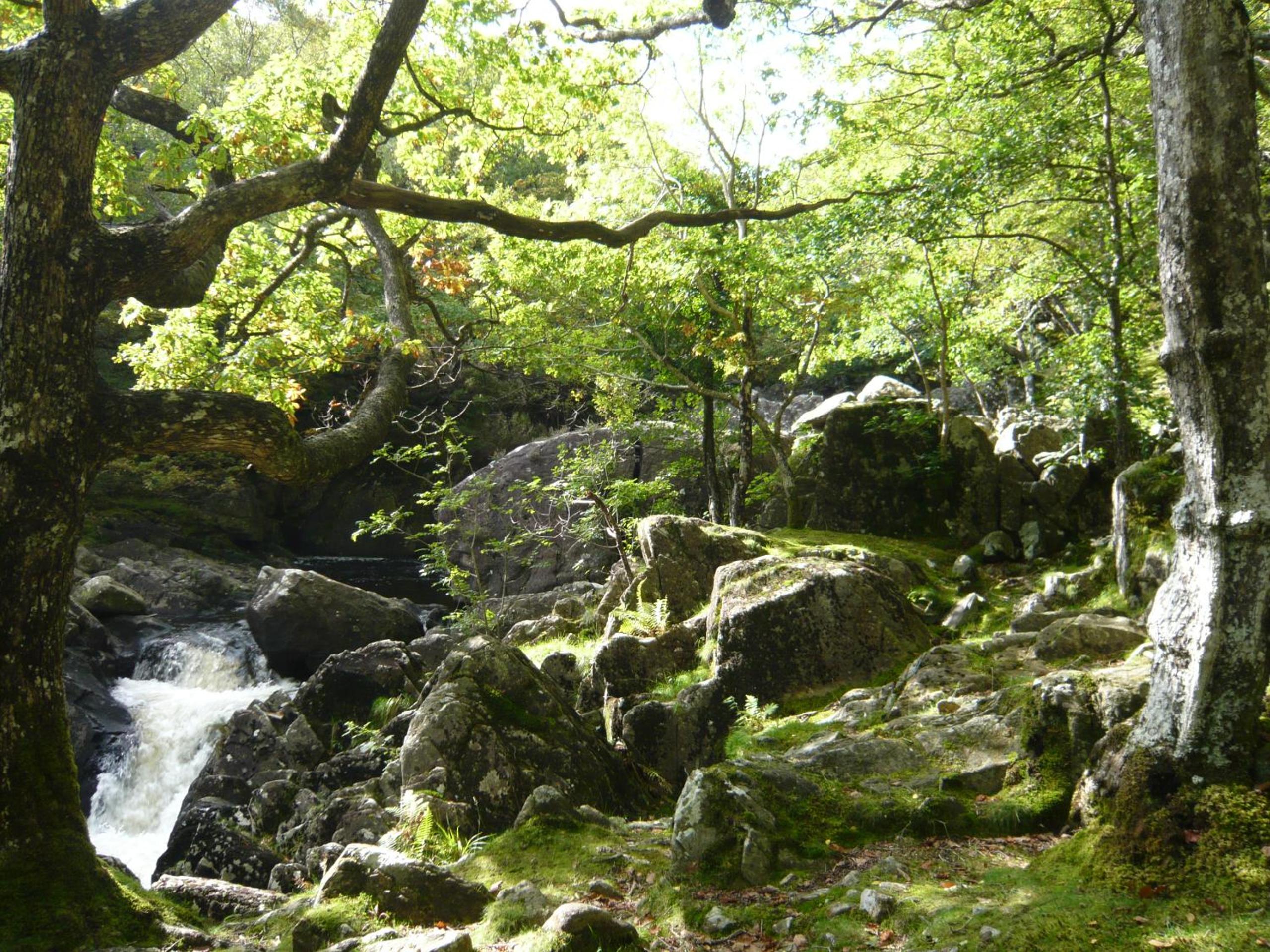 Photo 25