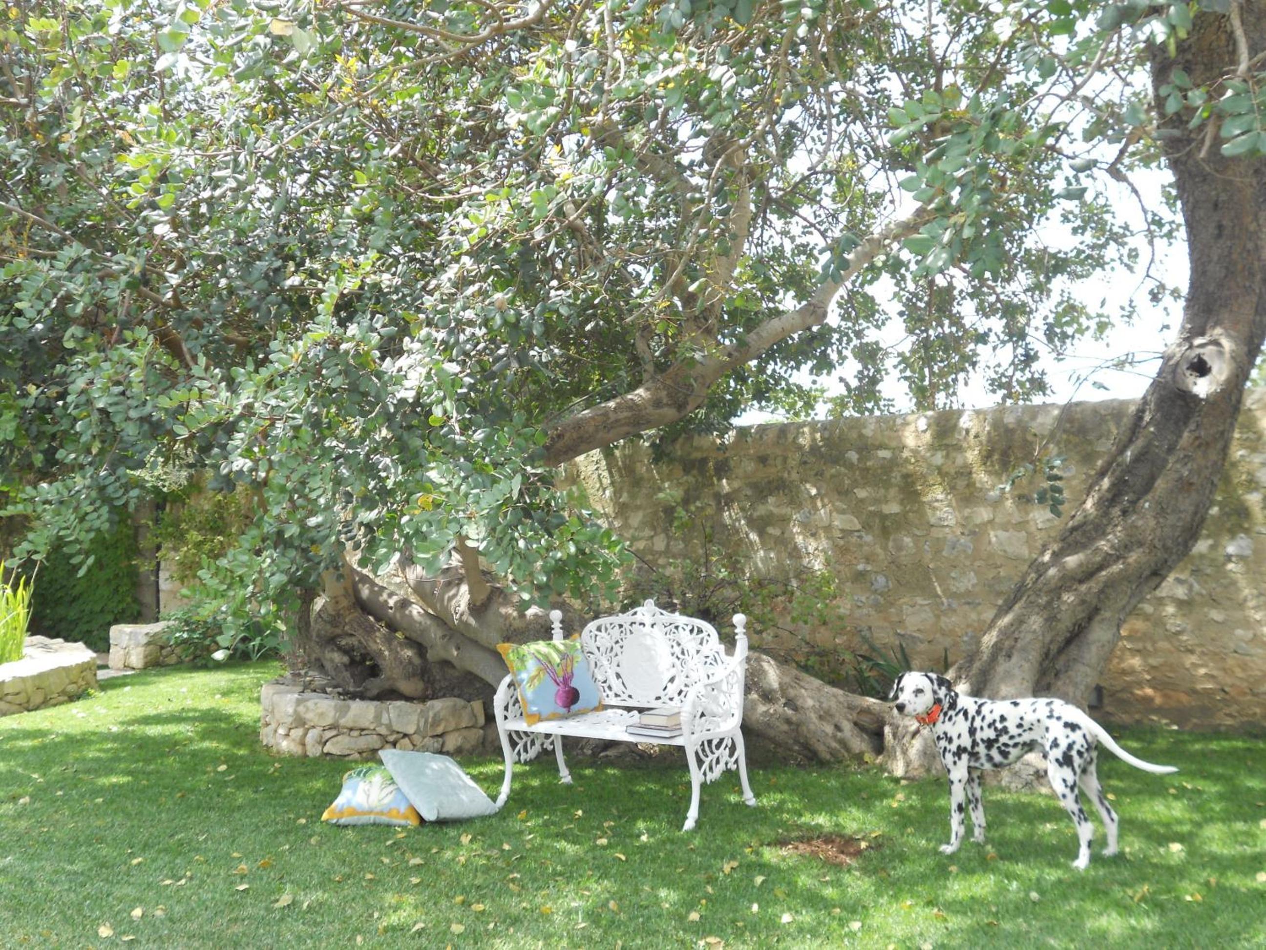 Tenuta Cammarana