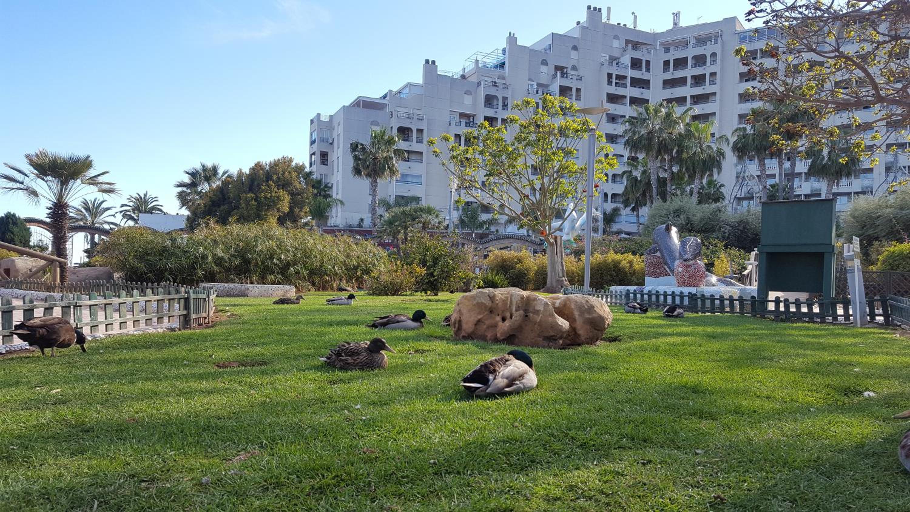Photo 48
