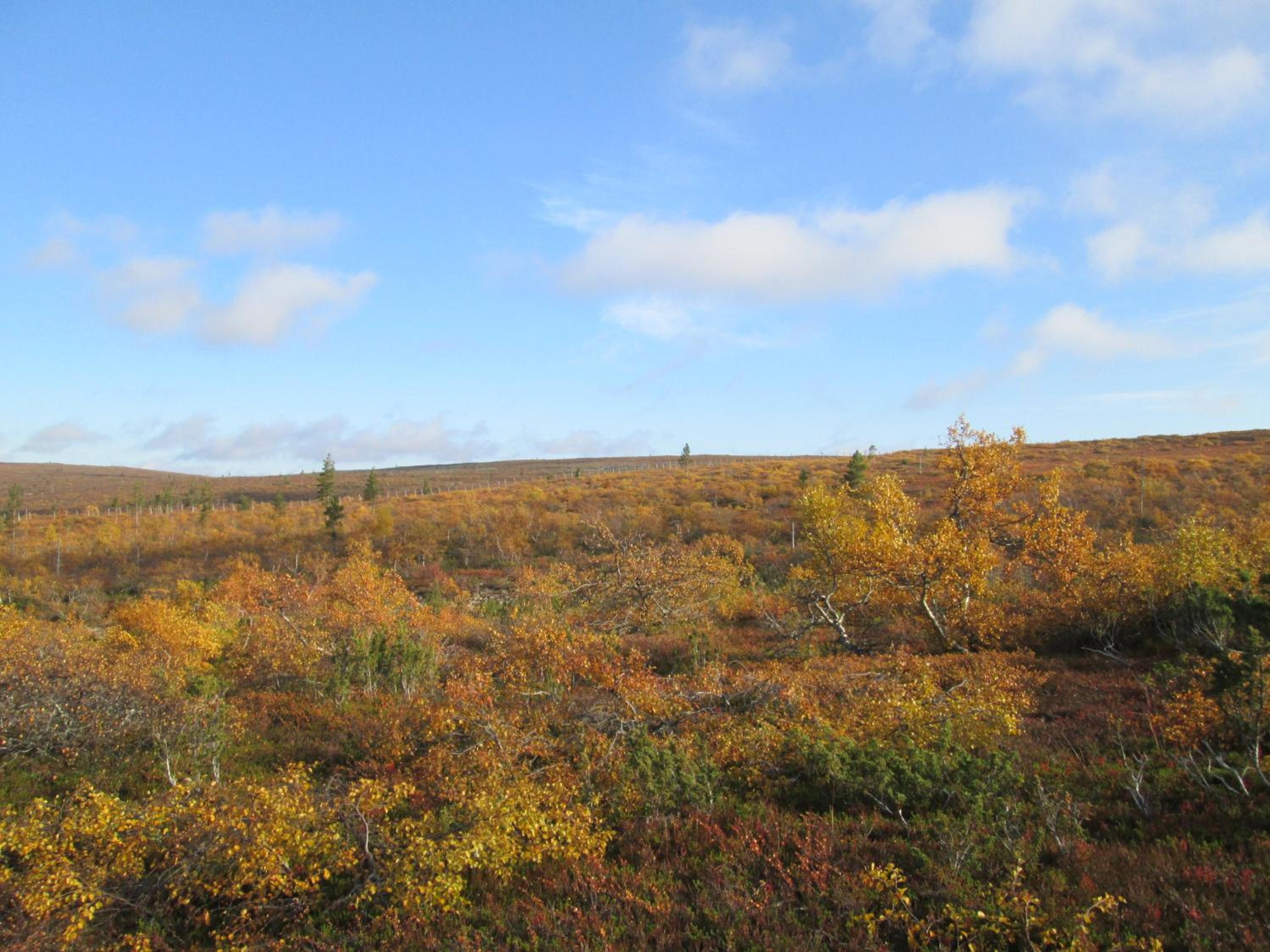 Photo 45