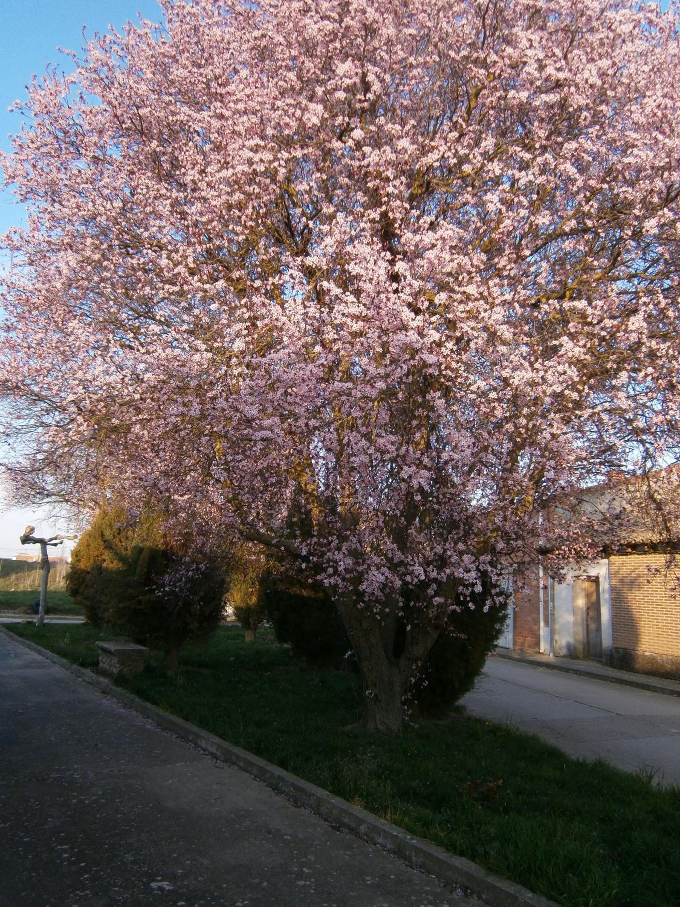 Photo 33