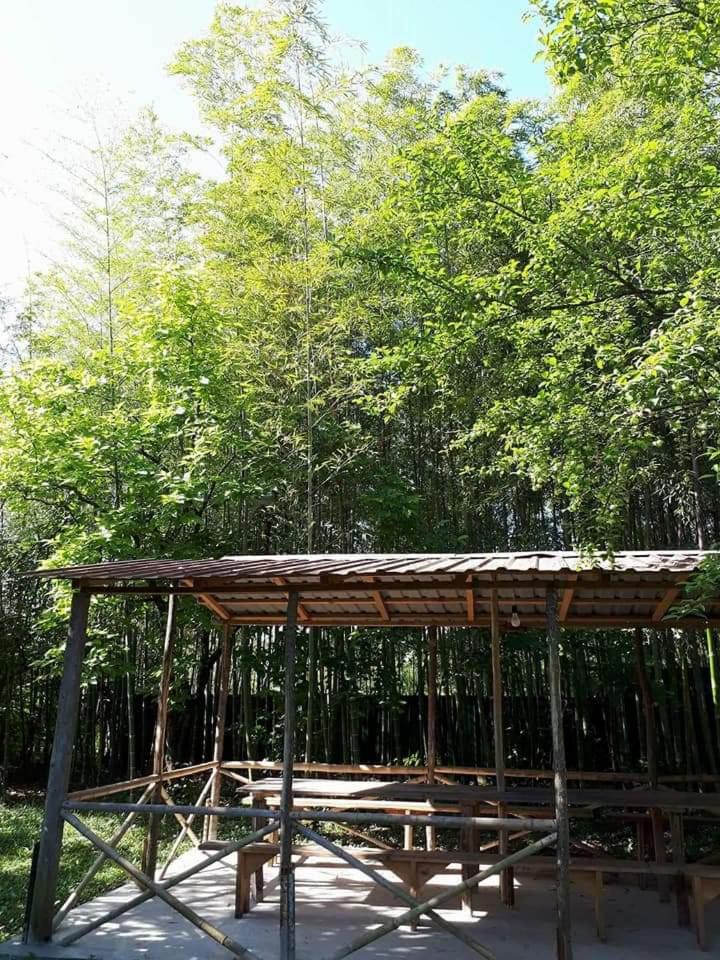 Photo 49