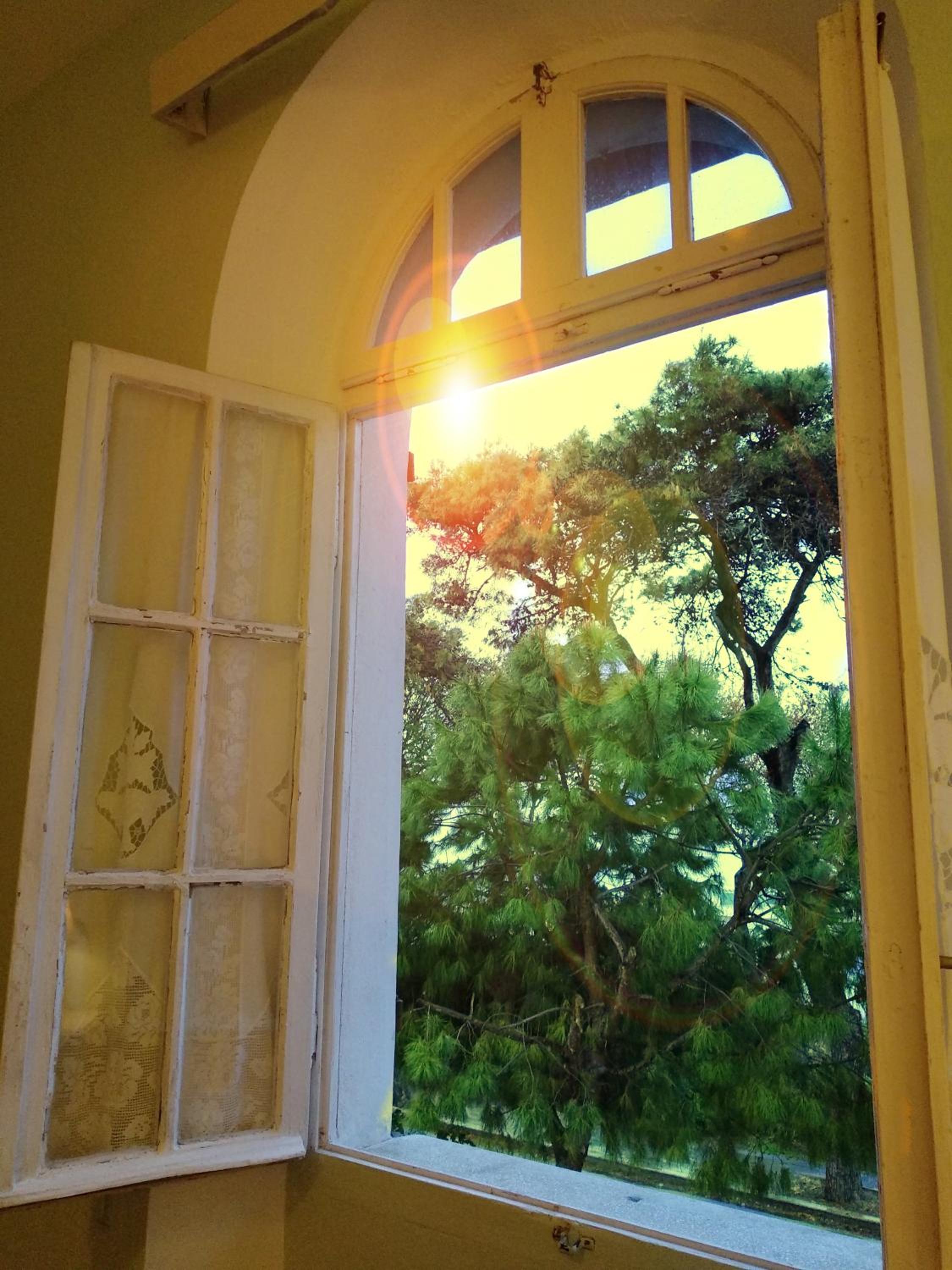 Photo 37