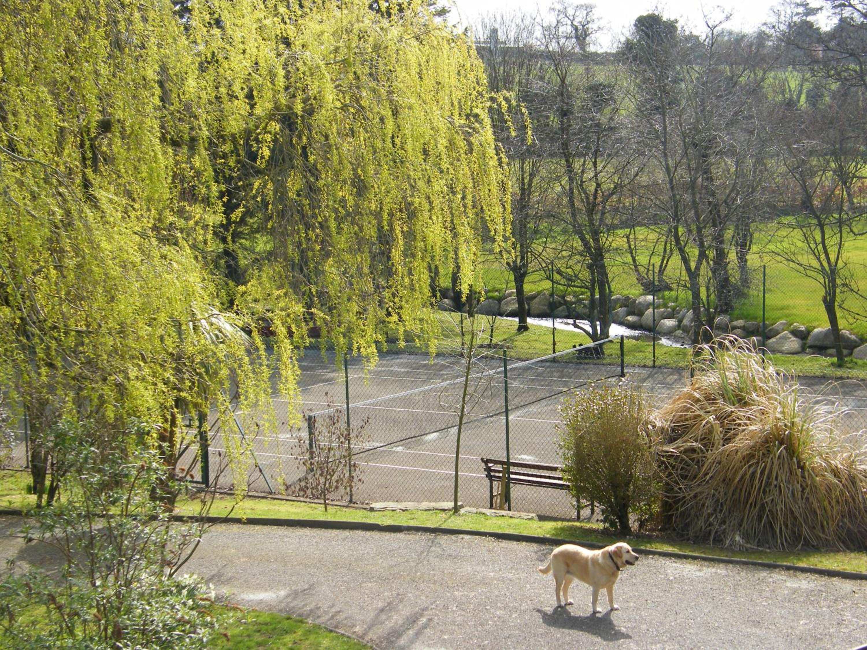 Riverfield Bed and Breakfast